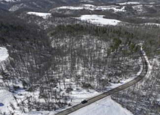 Tract 3 60± Acres | Monroe County, Ohio Hunting & Build Potential