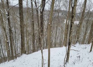 Tract 3 60± Acres | Monroe County, Ohio Hunting & Build Potential