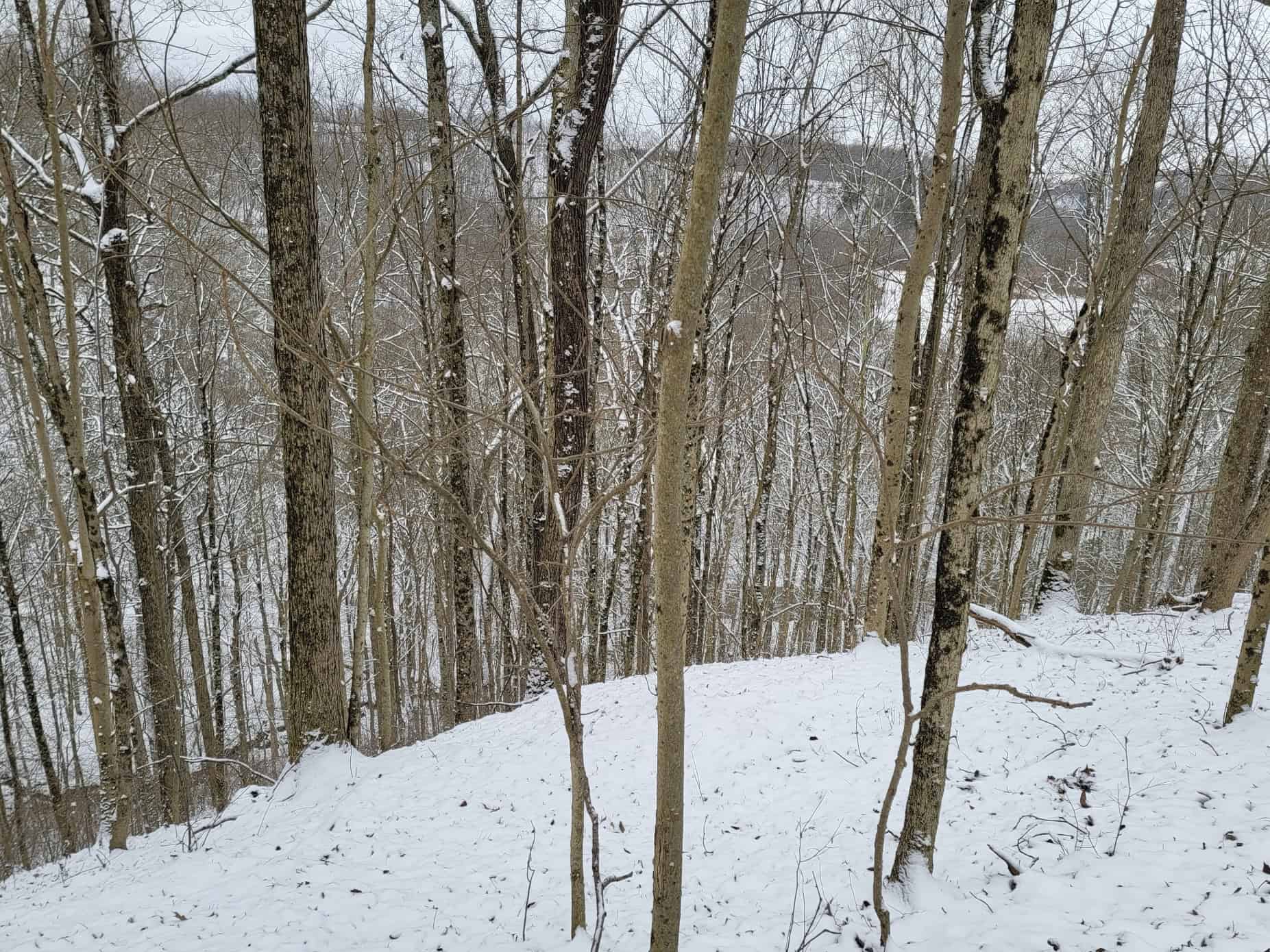 Tract 3 60± Acres | Monroe County, Ohio Hunting & Build Potential