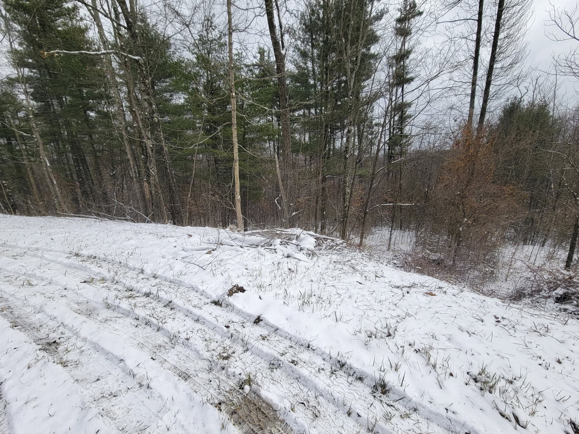 Tract 3 60± Acres | Monroe County, Ohio Hunting & Build Potential