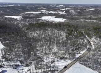 Tract 3 60± Acres | Monroe County, Ohio Hunting & Build Potential