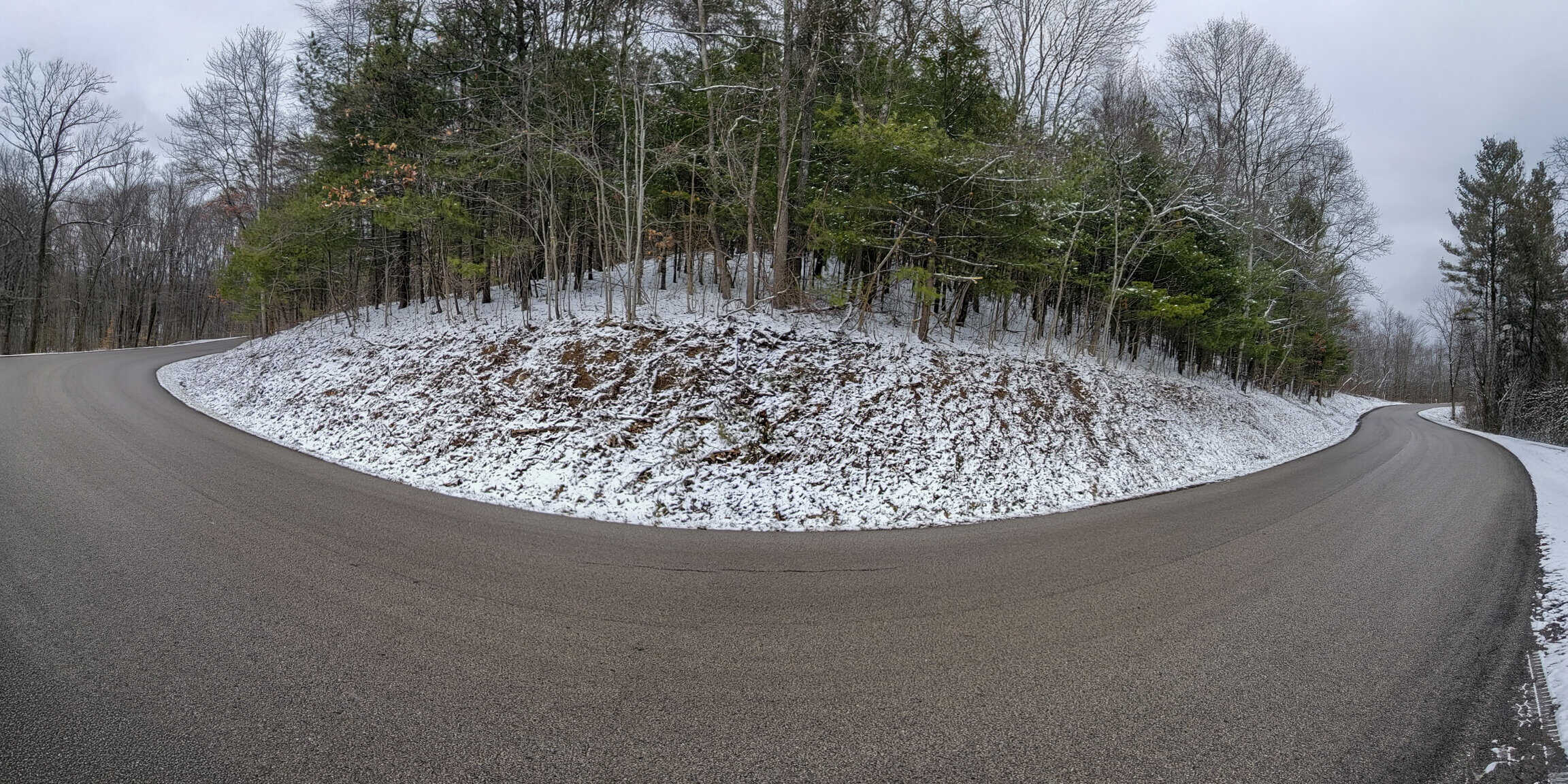 Tract 3 60± Acres | Monroe County, Ohio Hunting & Build Potential