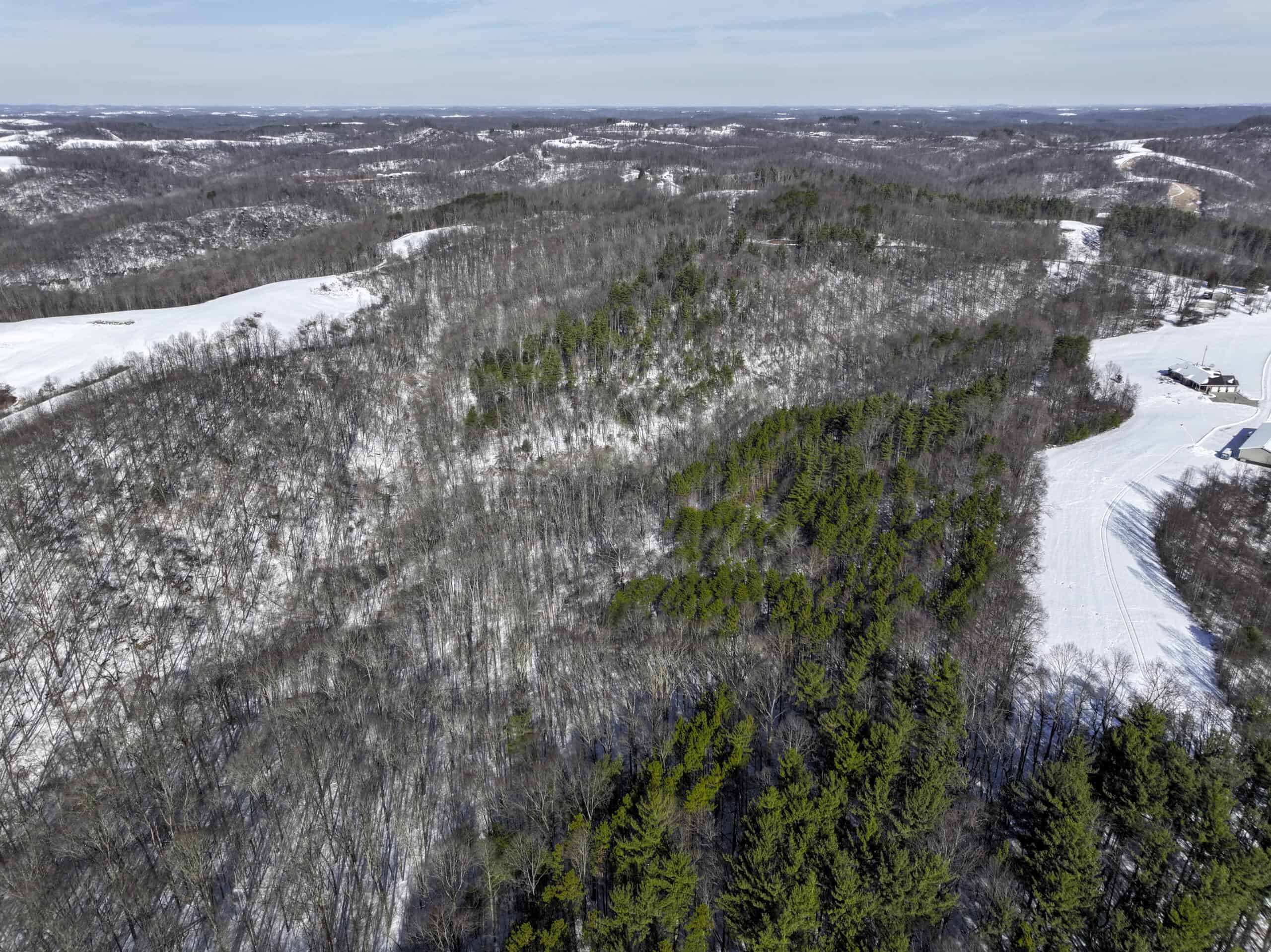 Tract 3 60± Acres | Monroe County, Ohio Hunting & Build Potential