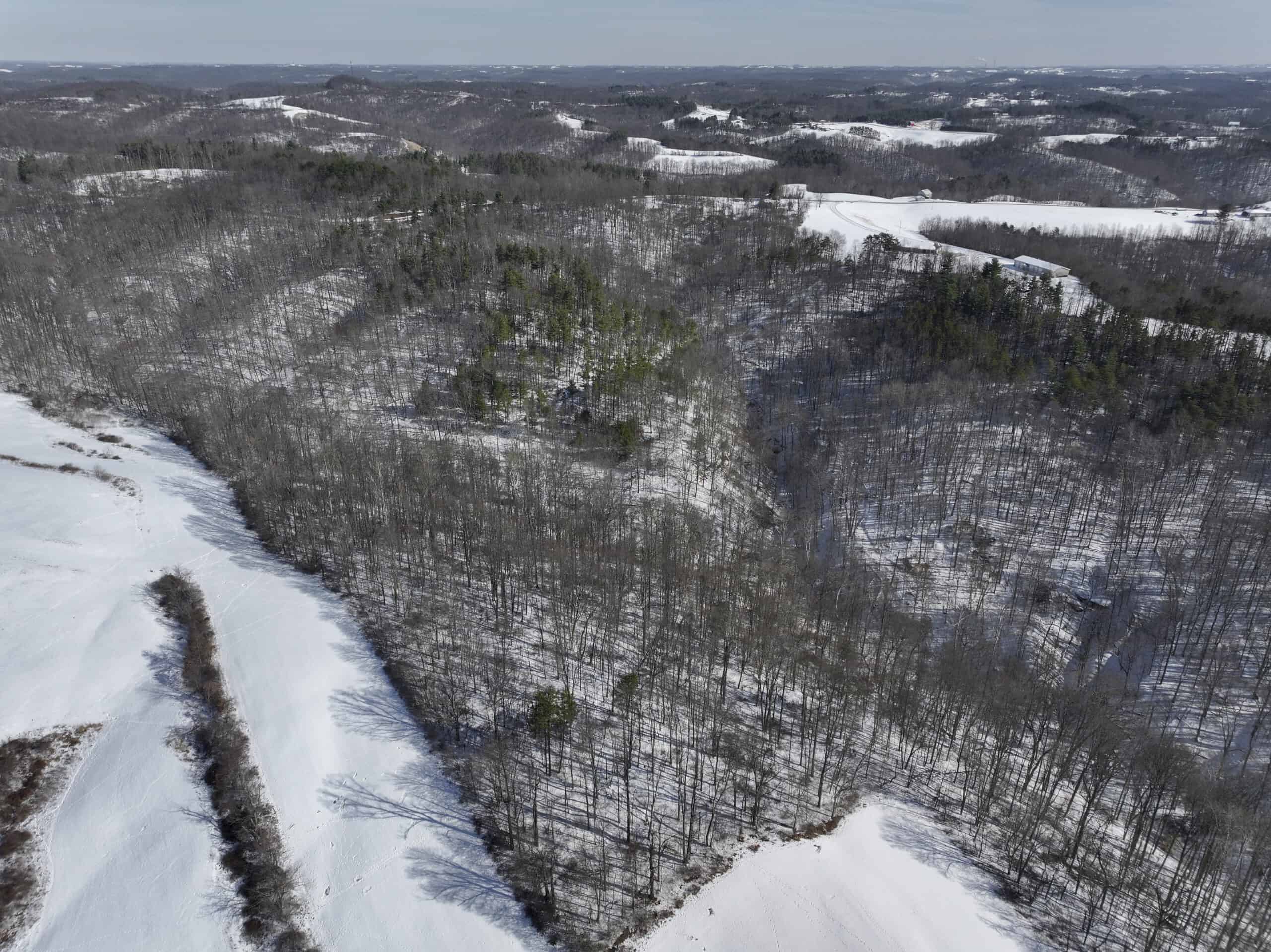 Tract 3 60± Acres | Monroe County, Ohio Hunting & Build Potential