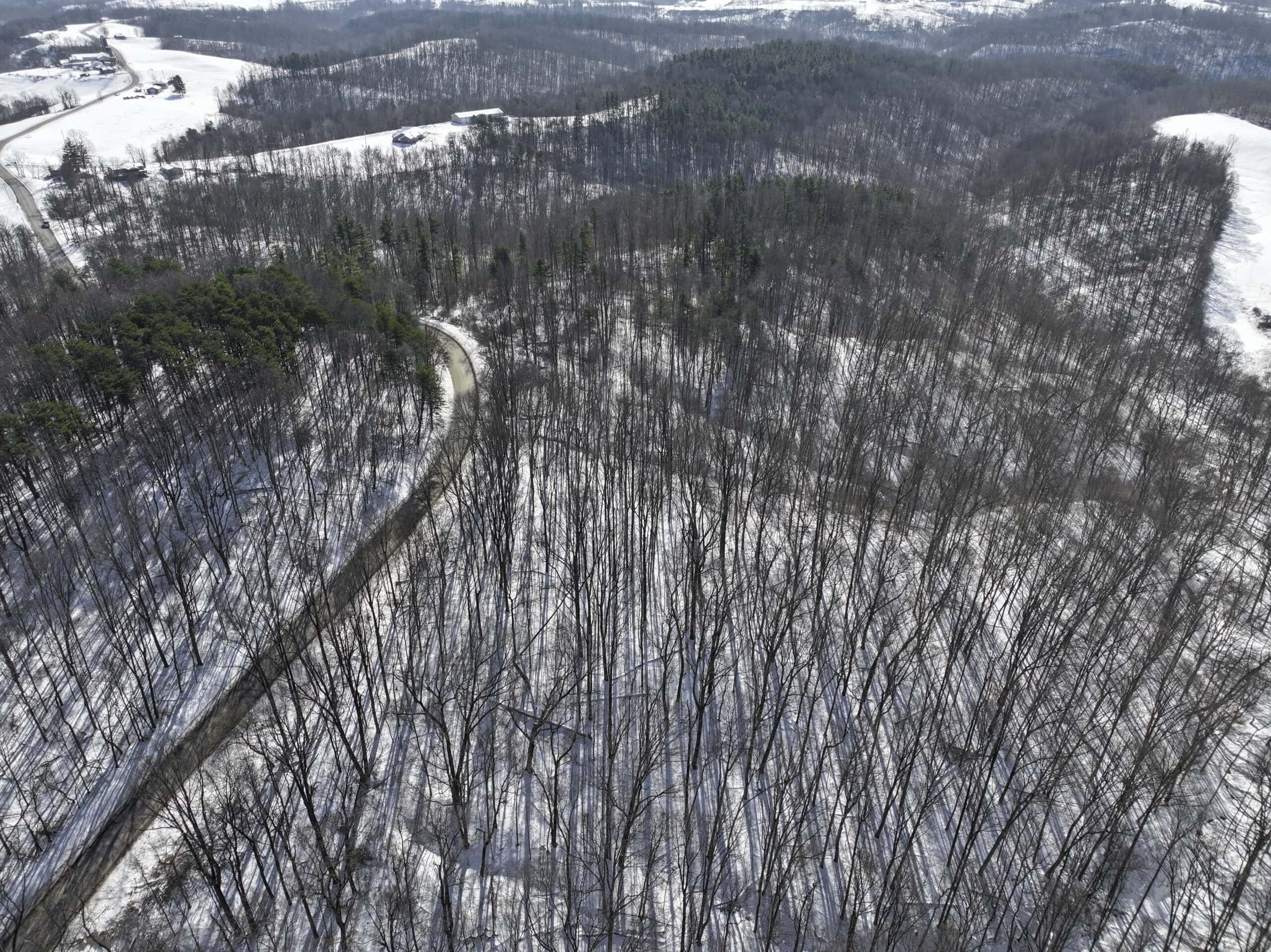 Tract 3 60± Acres | Monroe County, Ohio Hunting & Build Potential