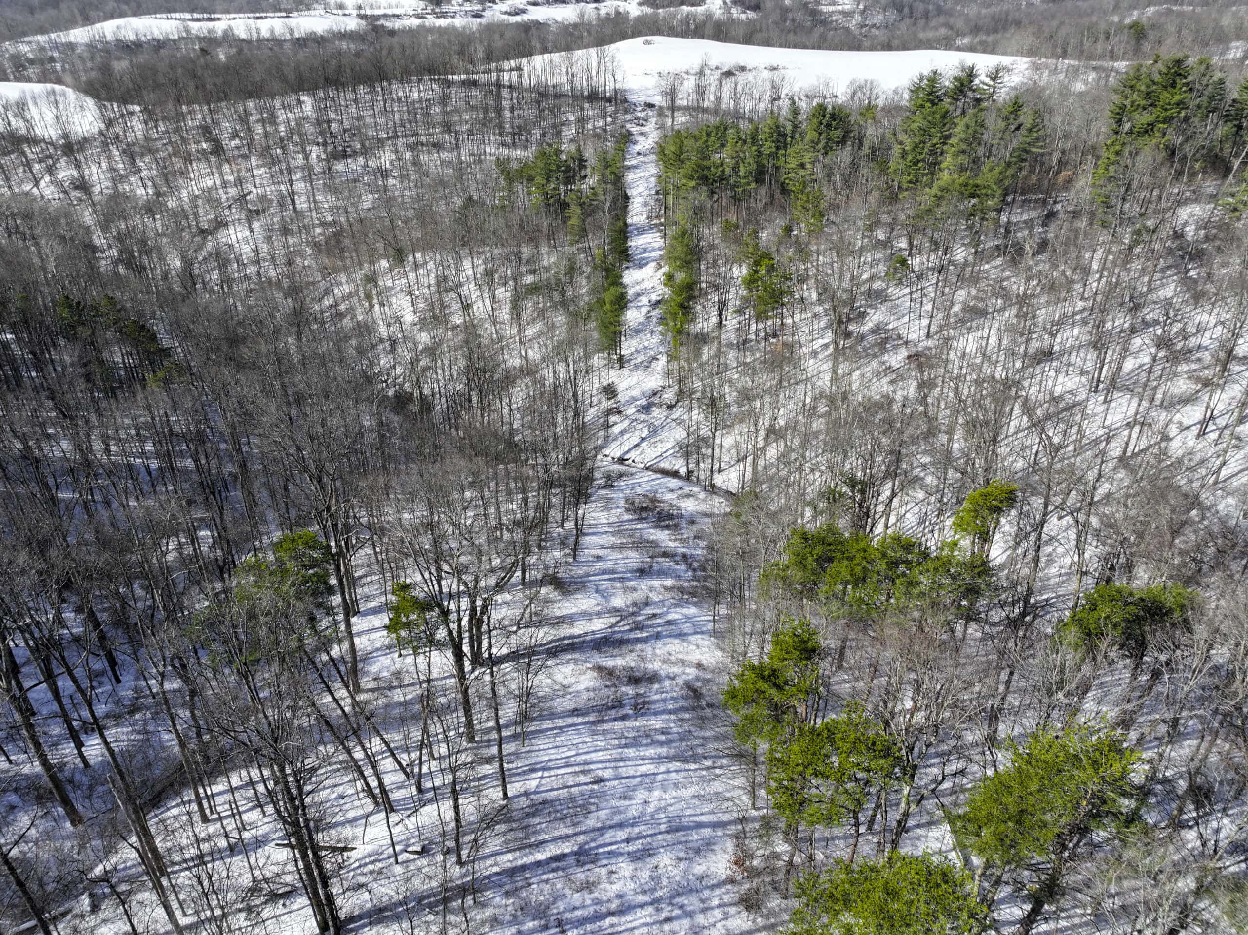 Tract 3 60± Acres | Monroe County, Ohio Hunting & Build Potential