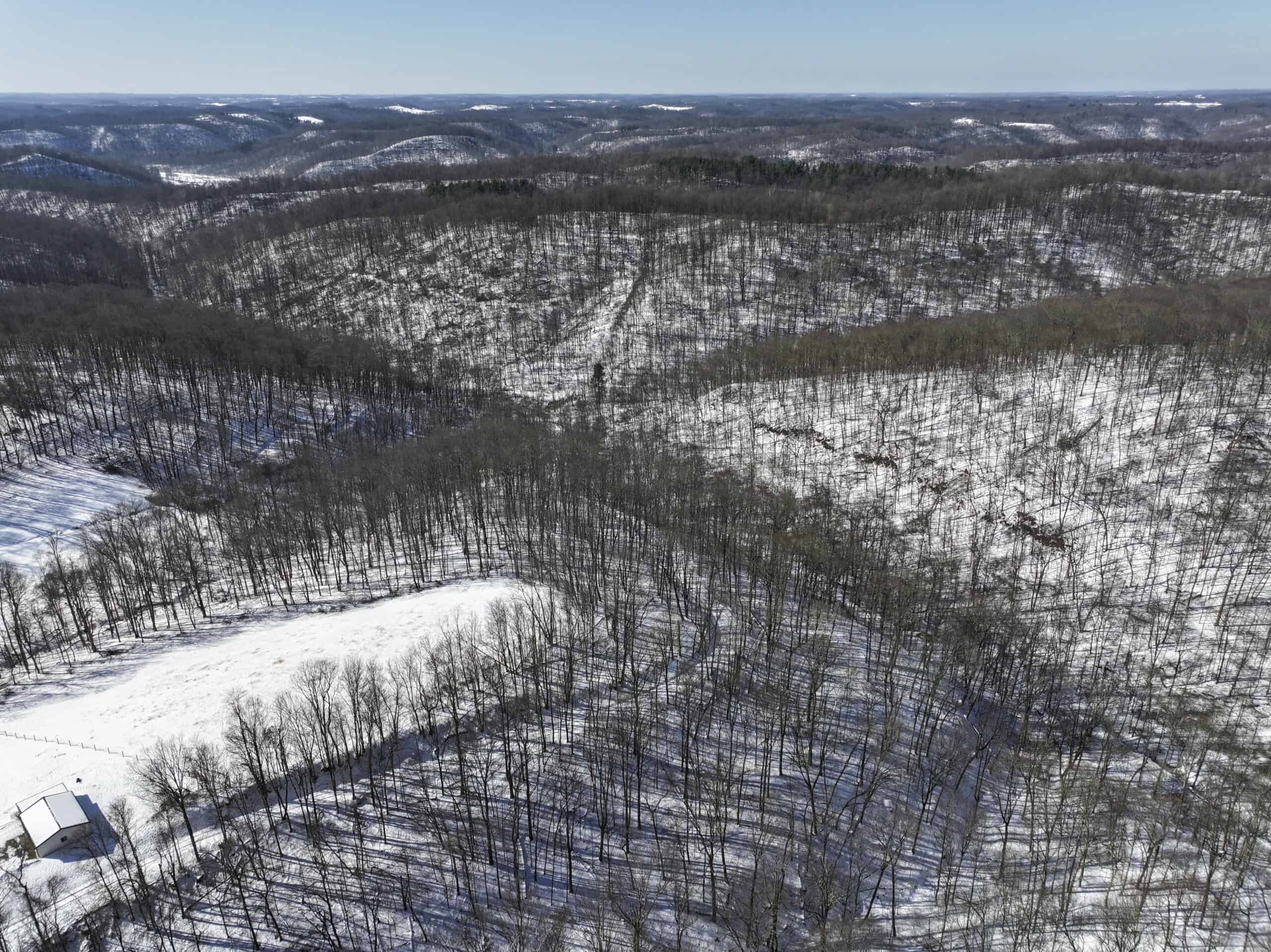 Tract 4 Prime Hunting & Recreational Land in Monroe County