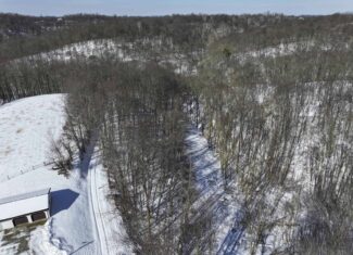 Tract 4 Prime Hunting & Recreational Land in Monroe County