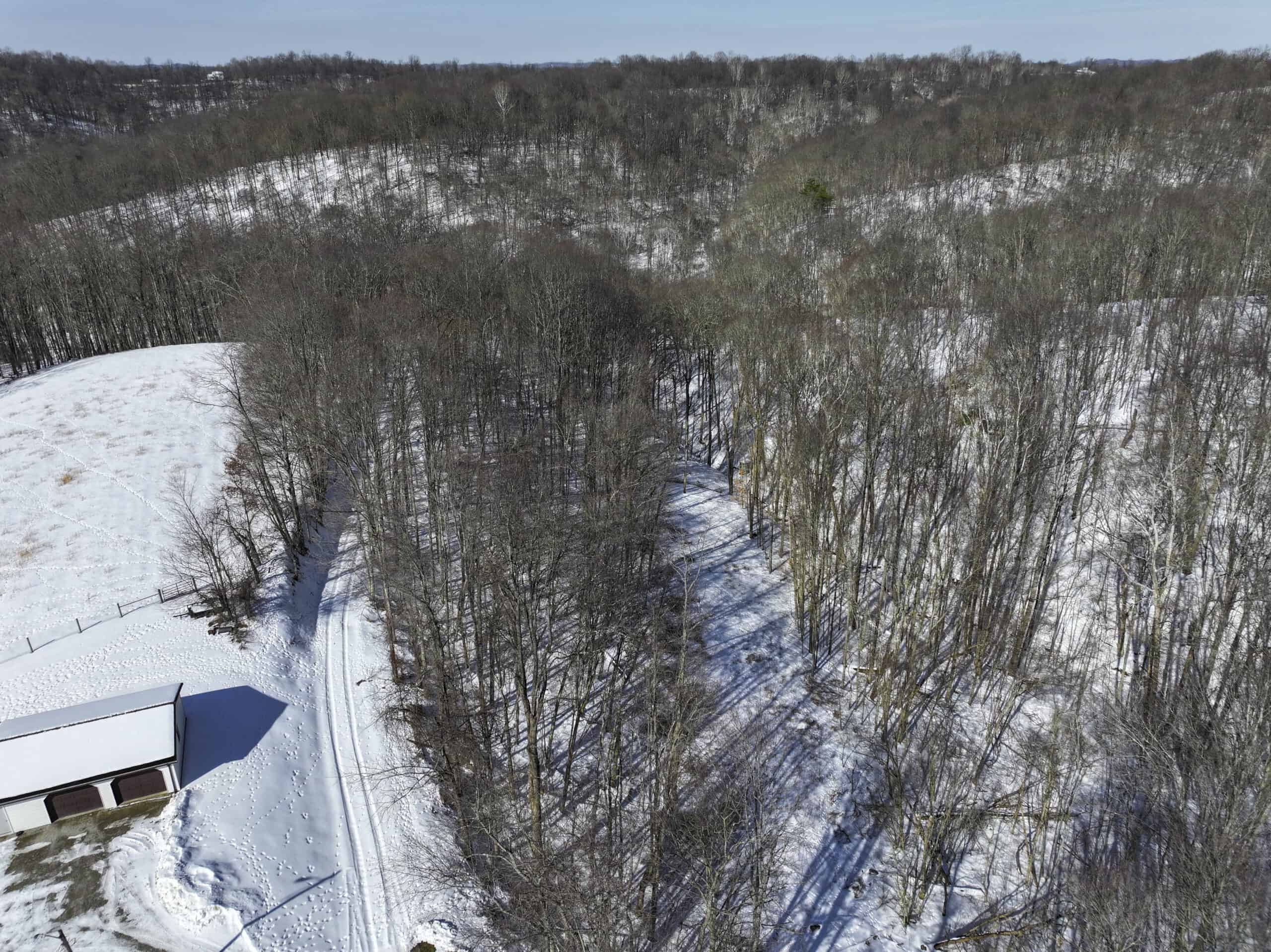 Tract 4 Prime Hunting & Recreational Land in Monroe County