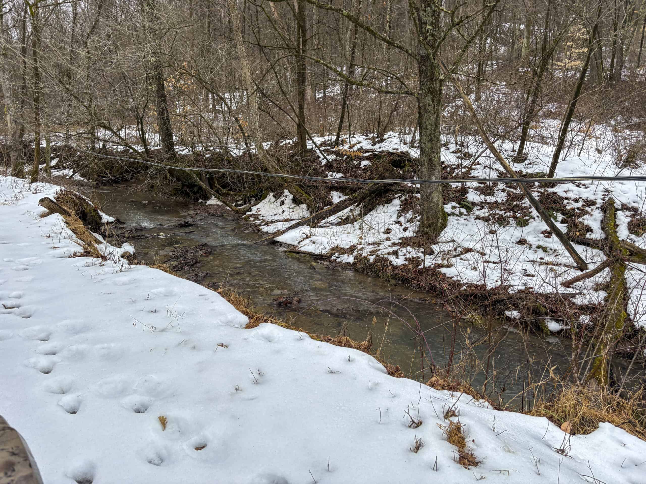 Tract 4 Prime Hunting & Recreational Land in Monroe County