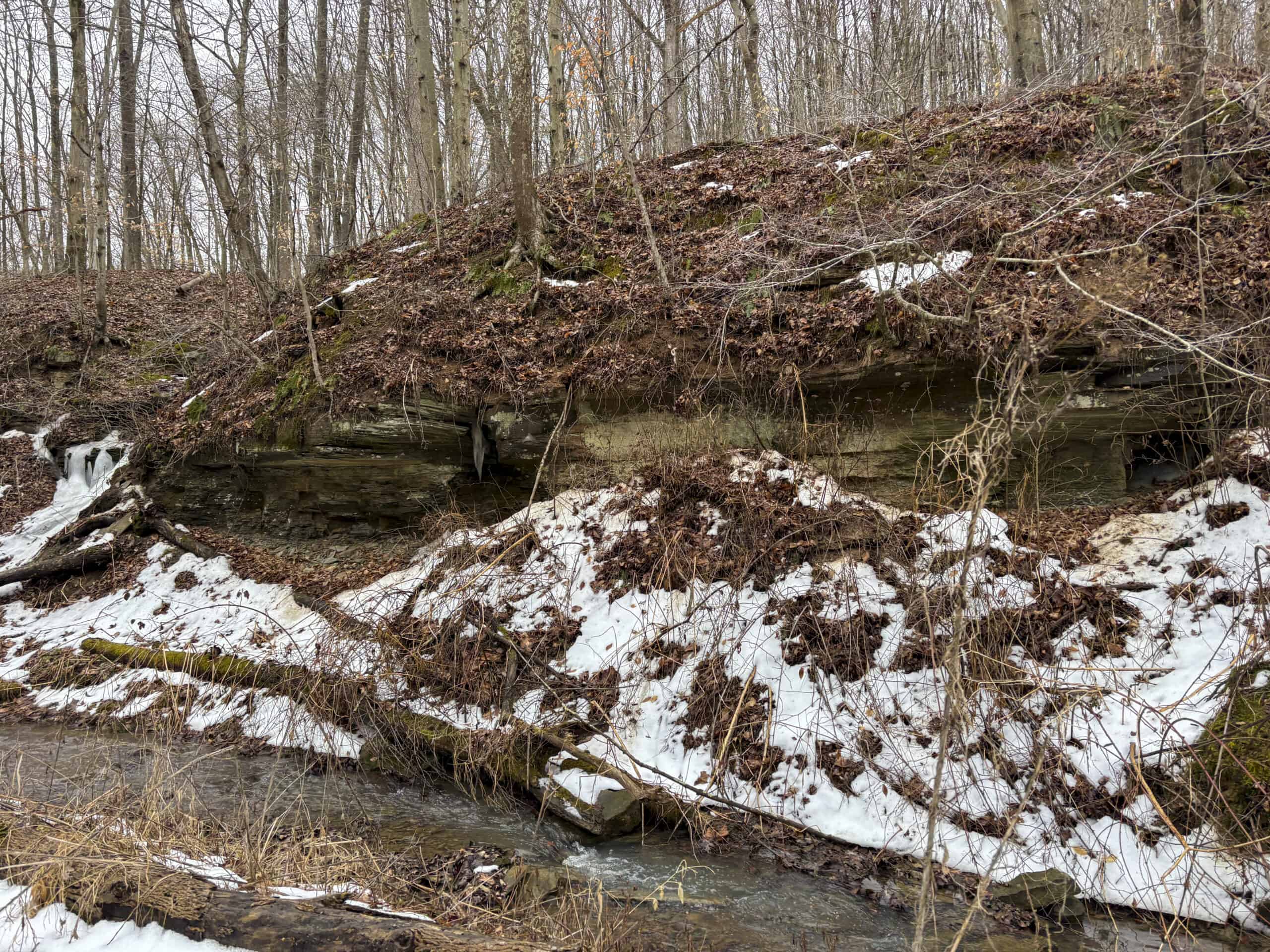 Tract 4 Prime Hunting & Recreational Land in Monroe County