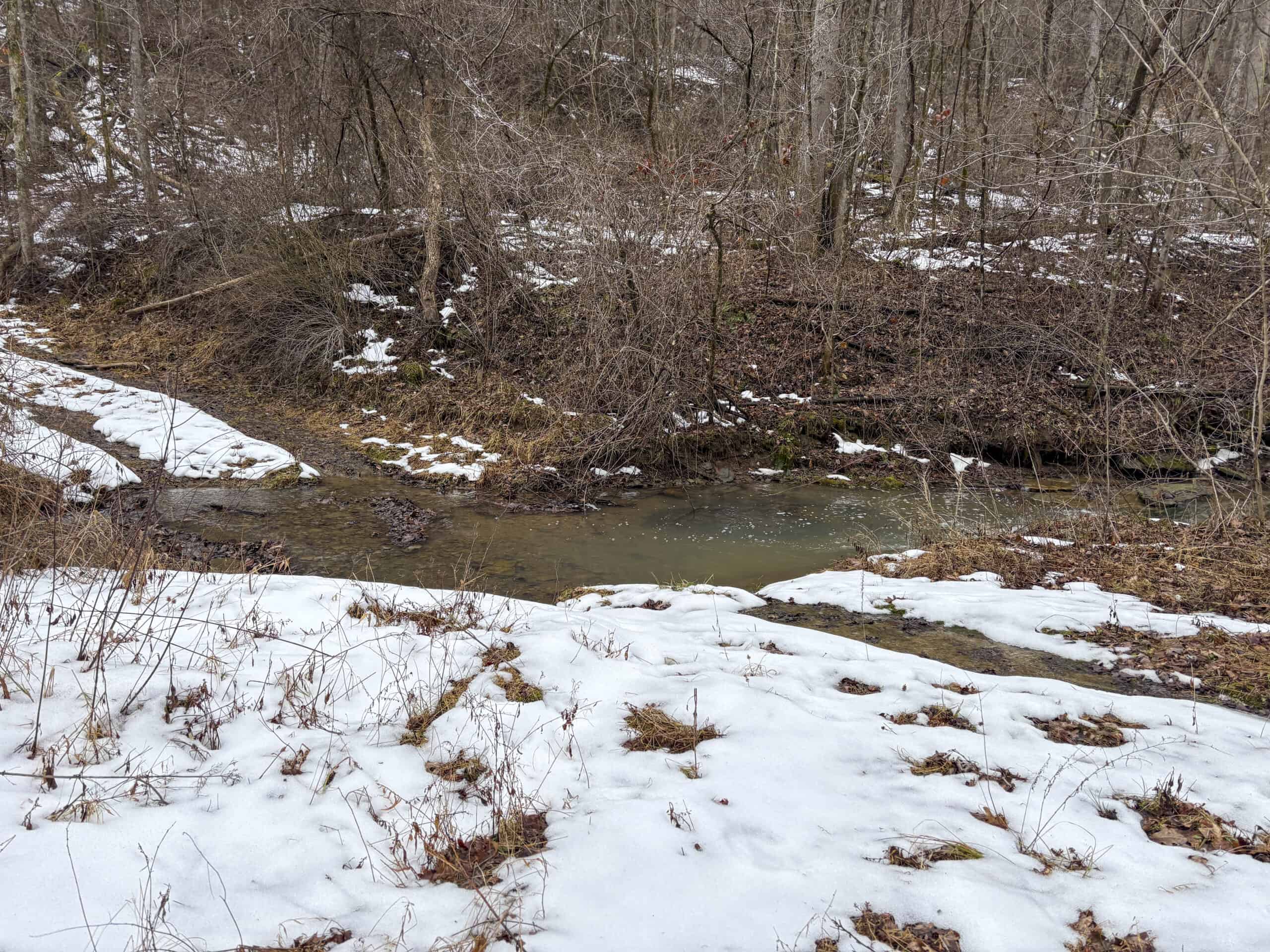 Tract 4 Prime Hunting & Recreational Land in Monroe County