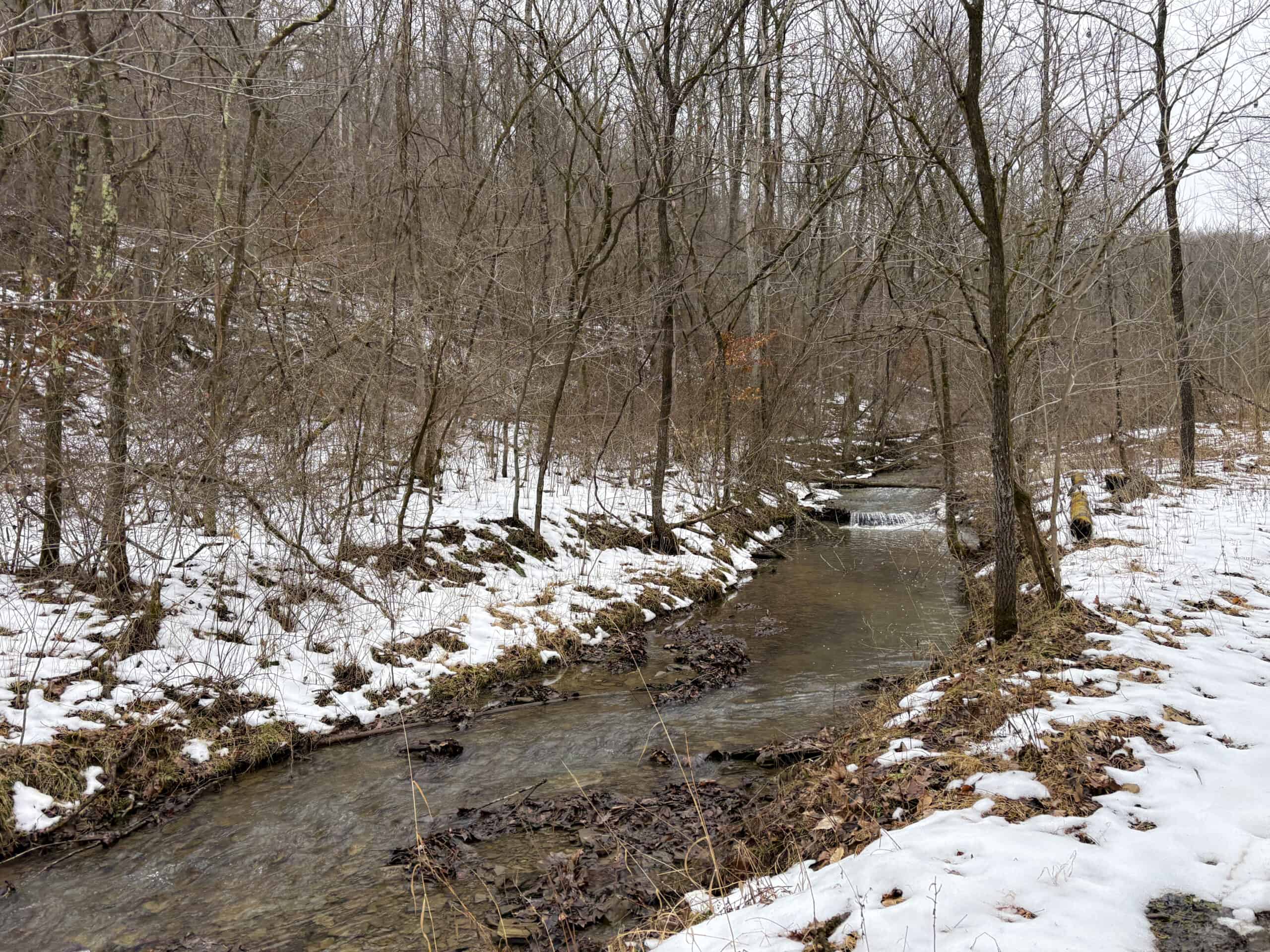 Tract 4 Prime Hunting & Recreational Land in Monroe County