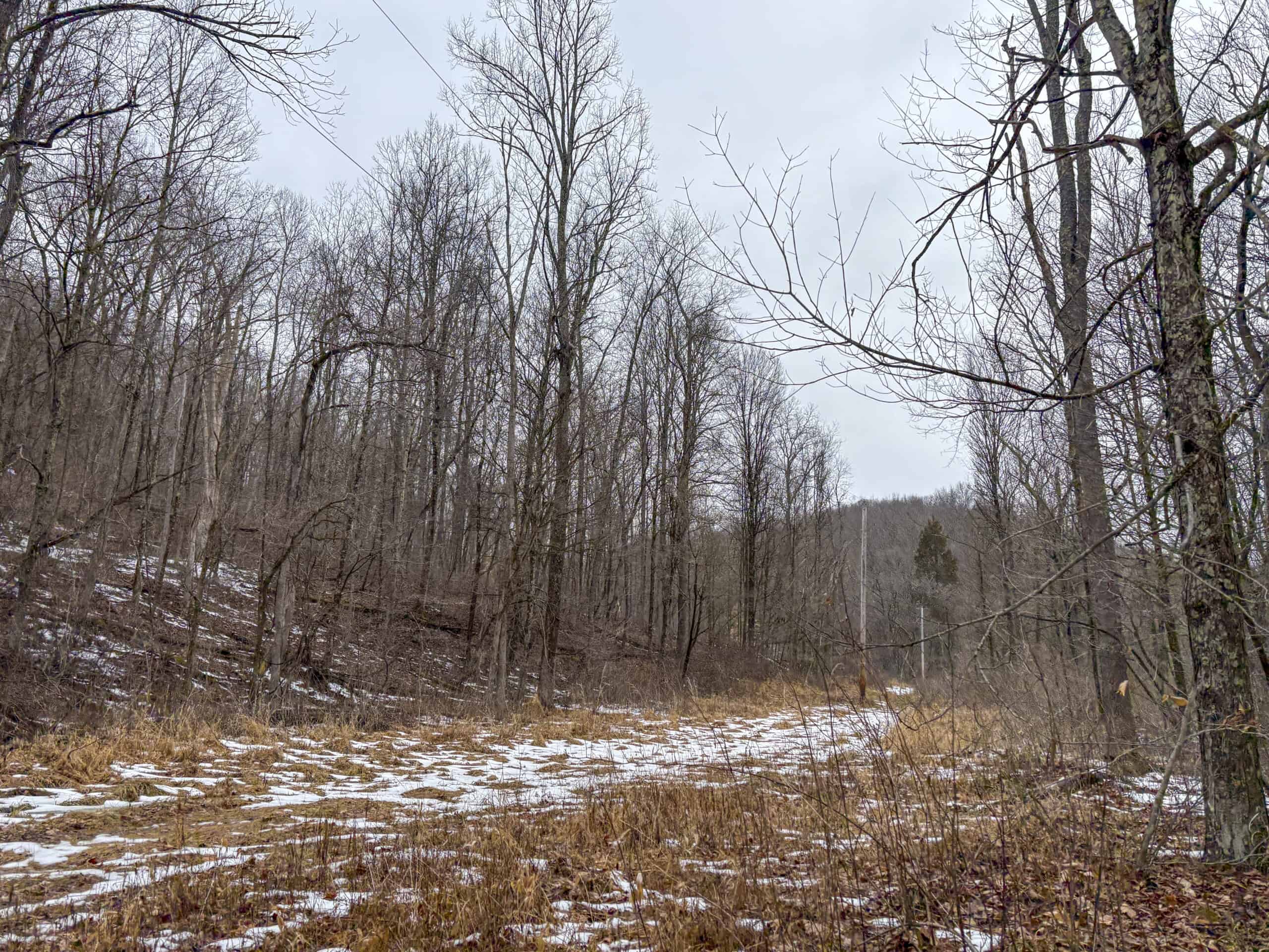 Tract 4 Prime Hunting & Recreational Land in Monroe County