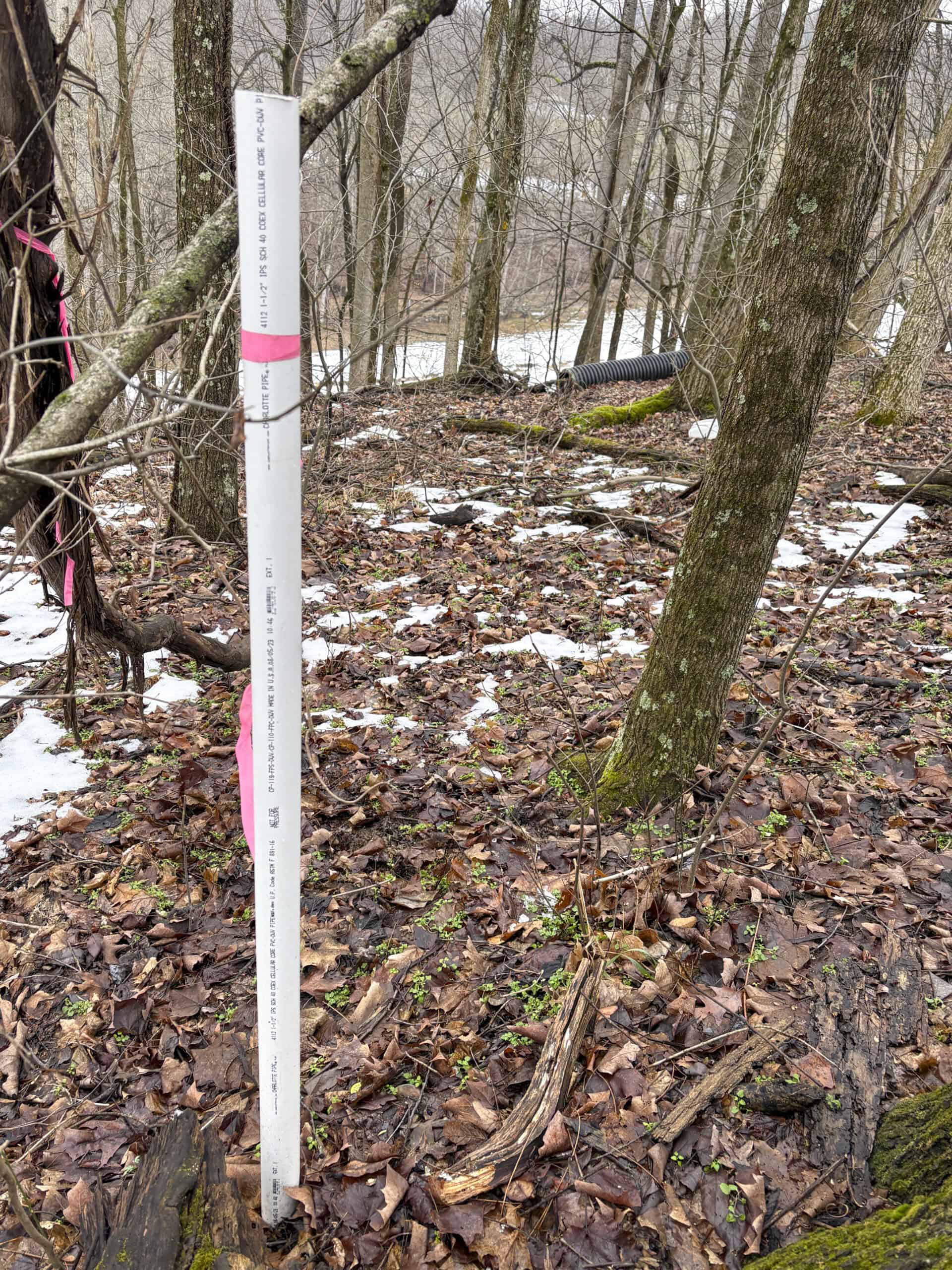 Tract 4 Prime Hunting & Recreational Land in Monroe County