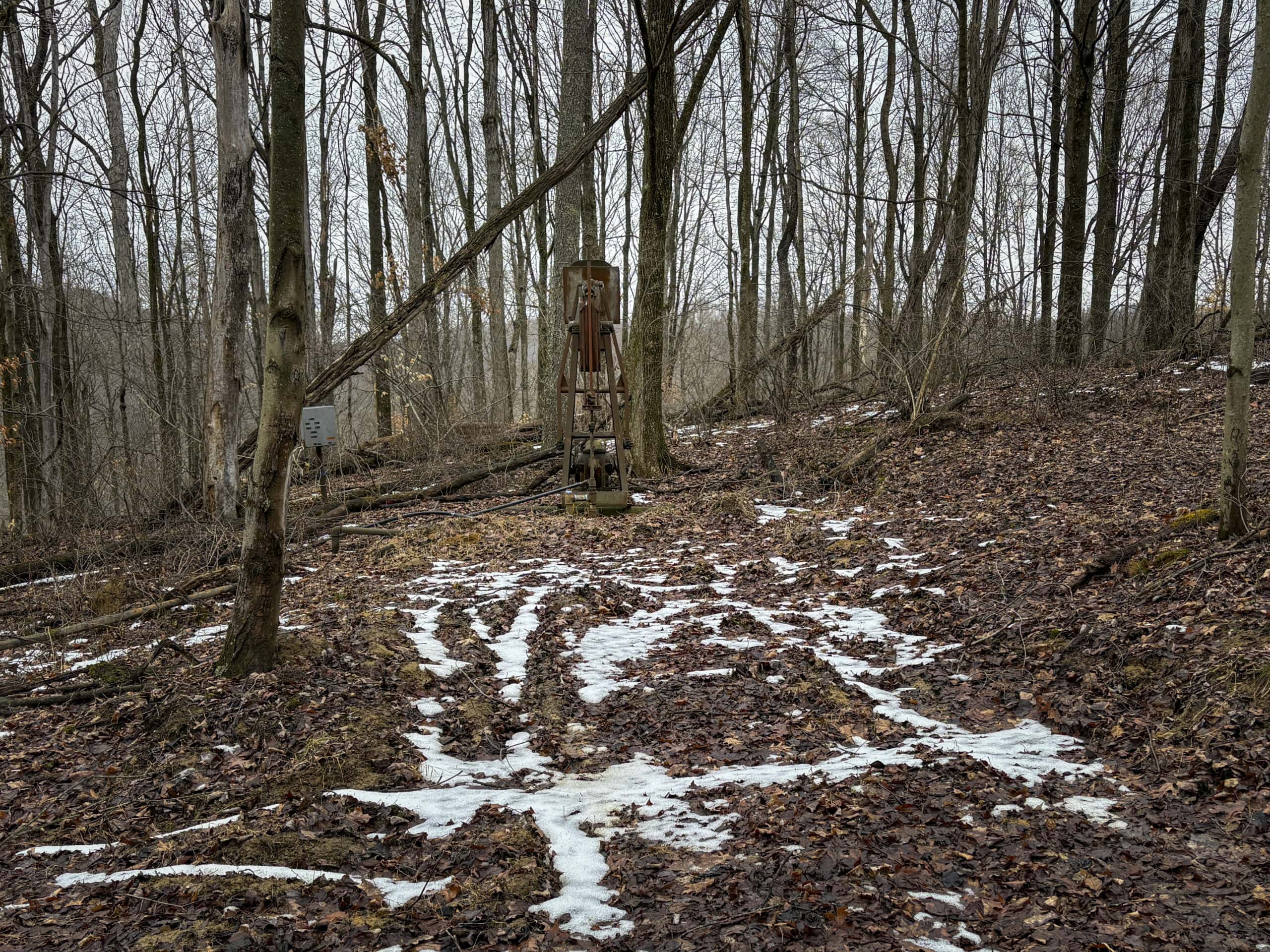 Tract 4 Prime Hunting & Recreational Land in Monroe County