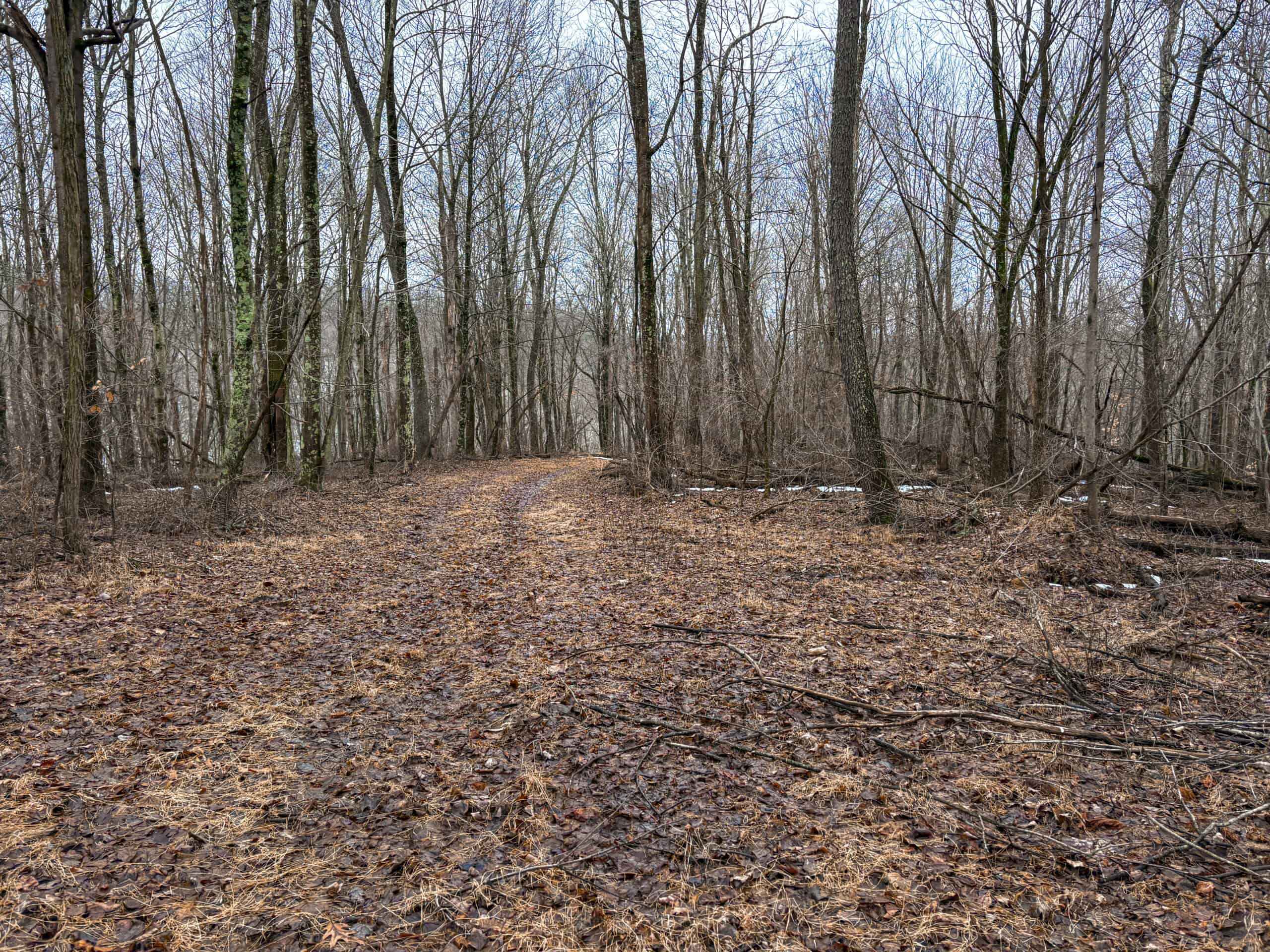 Tract 4 Prime Hunting & Recreational Land in Monroe County
