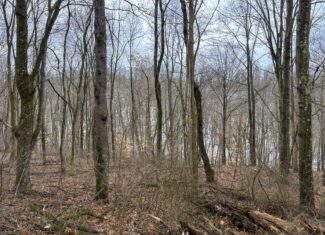 Tract 4 Prime Hunting & Recreational Land in Monroe County