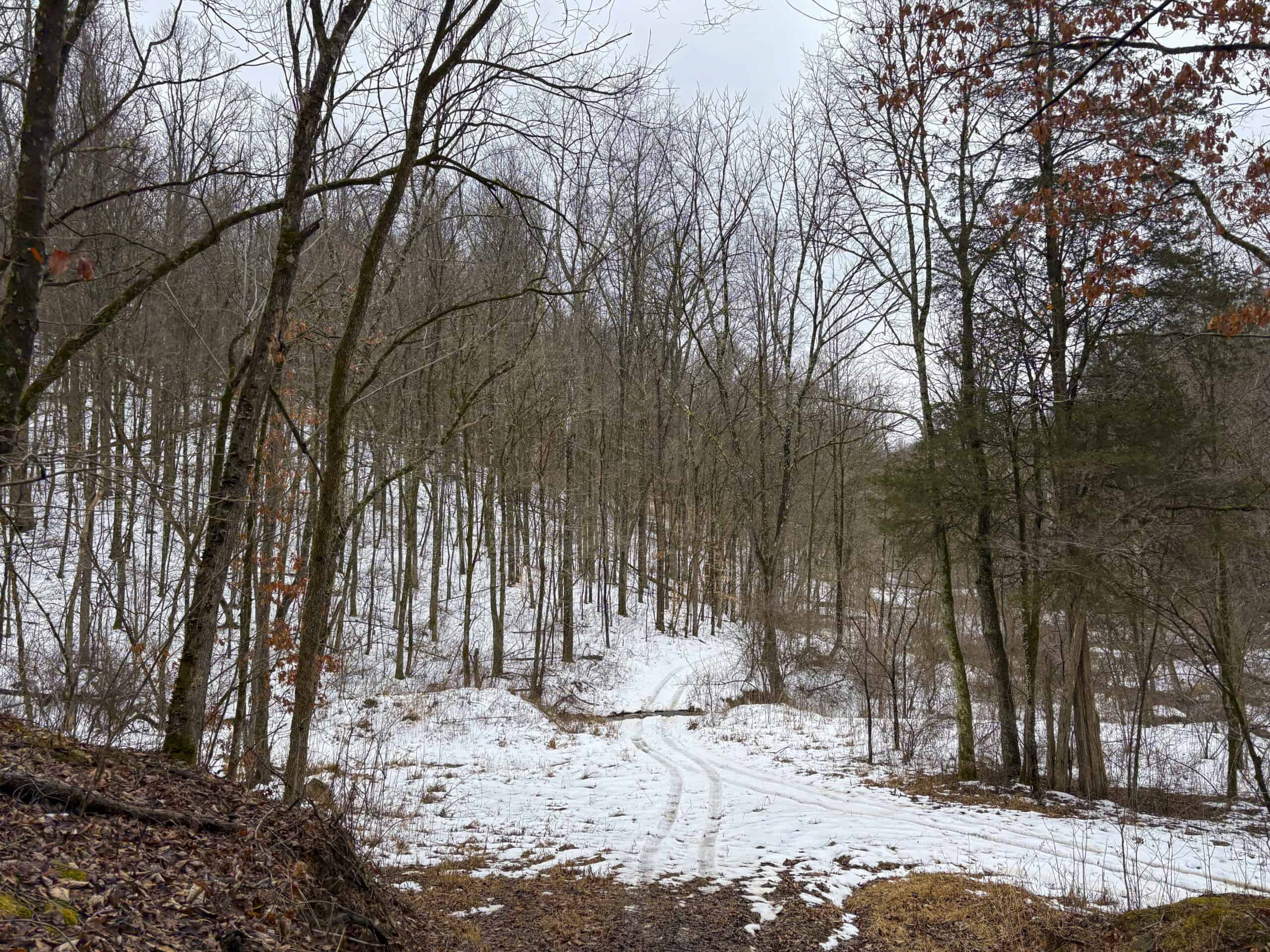 Tract 4 Prime Hunting & Recreational Land in Monroe County
