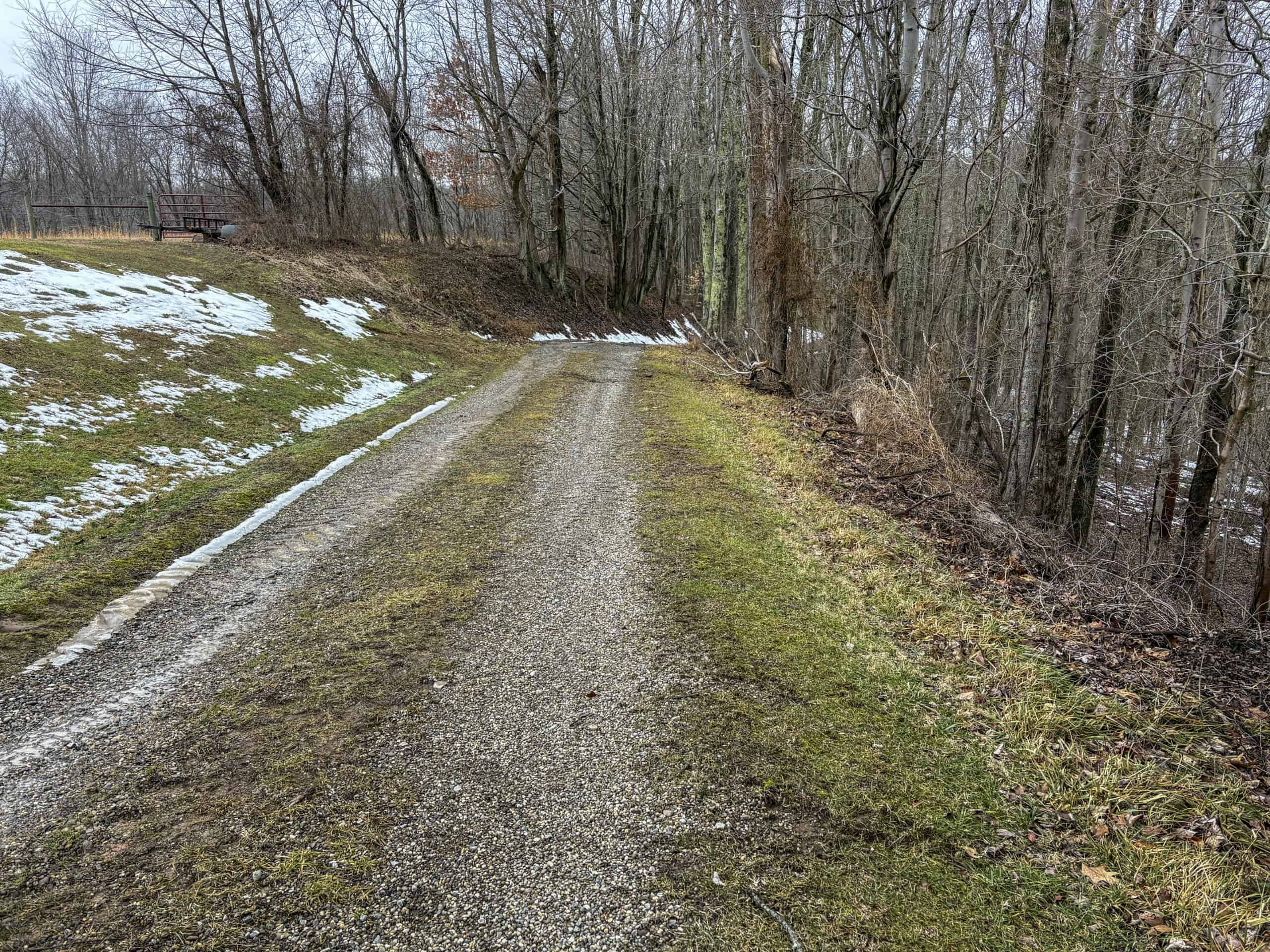 Tract 4 Prime Hunting & Recreational Land in Monroe County