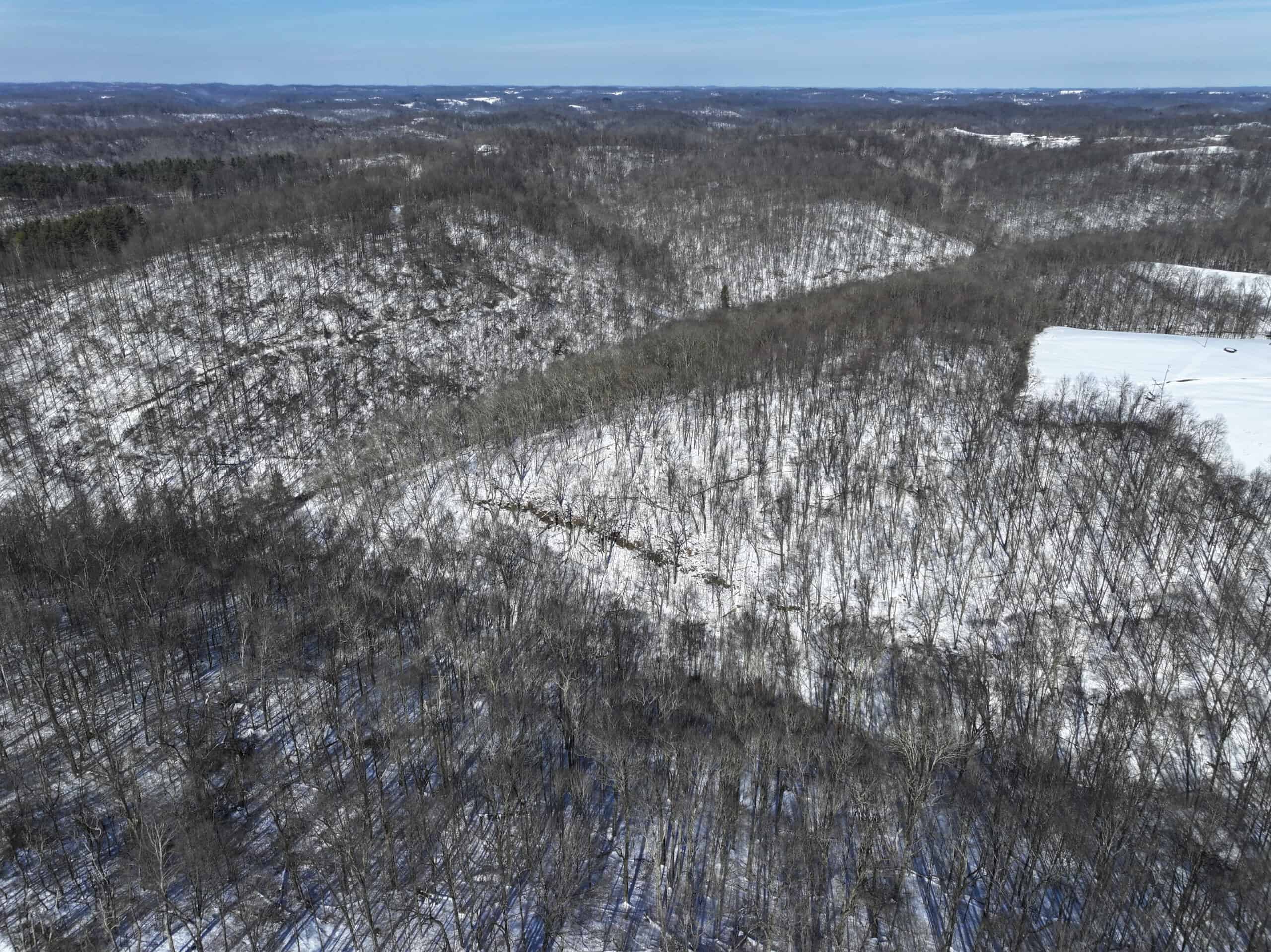 Tract 4 Prime Hunting & Recreational Land in Monroe County
