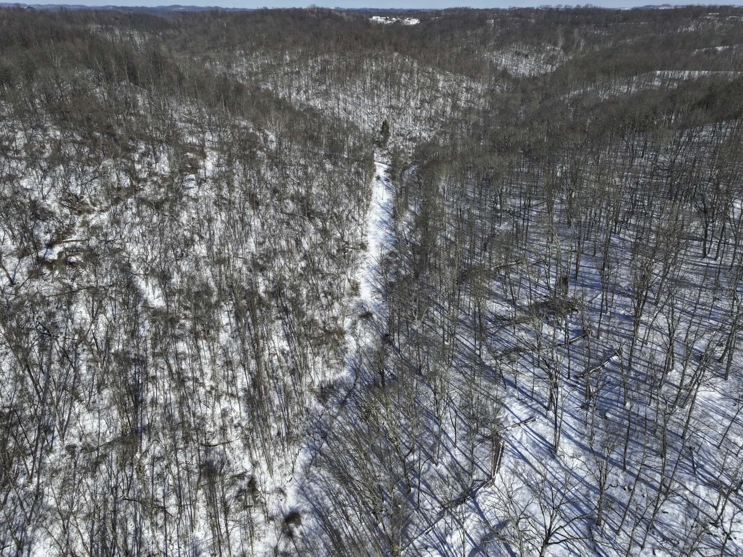 Tract 4 Prime Hunting & Recreational Land in Monroe County