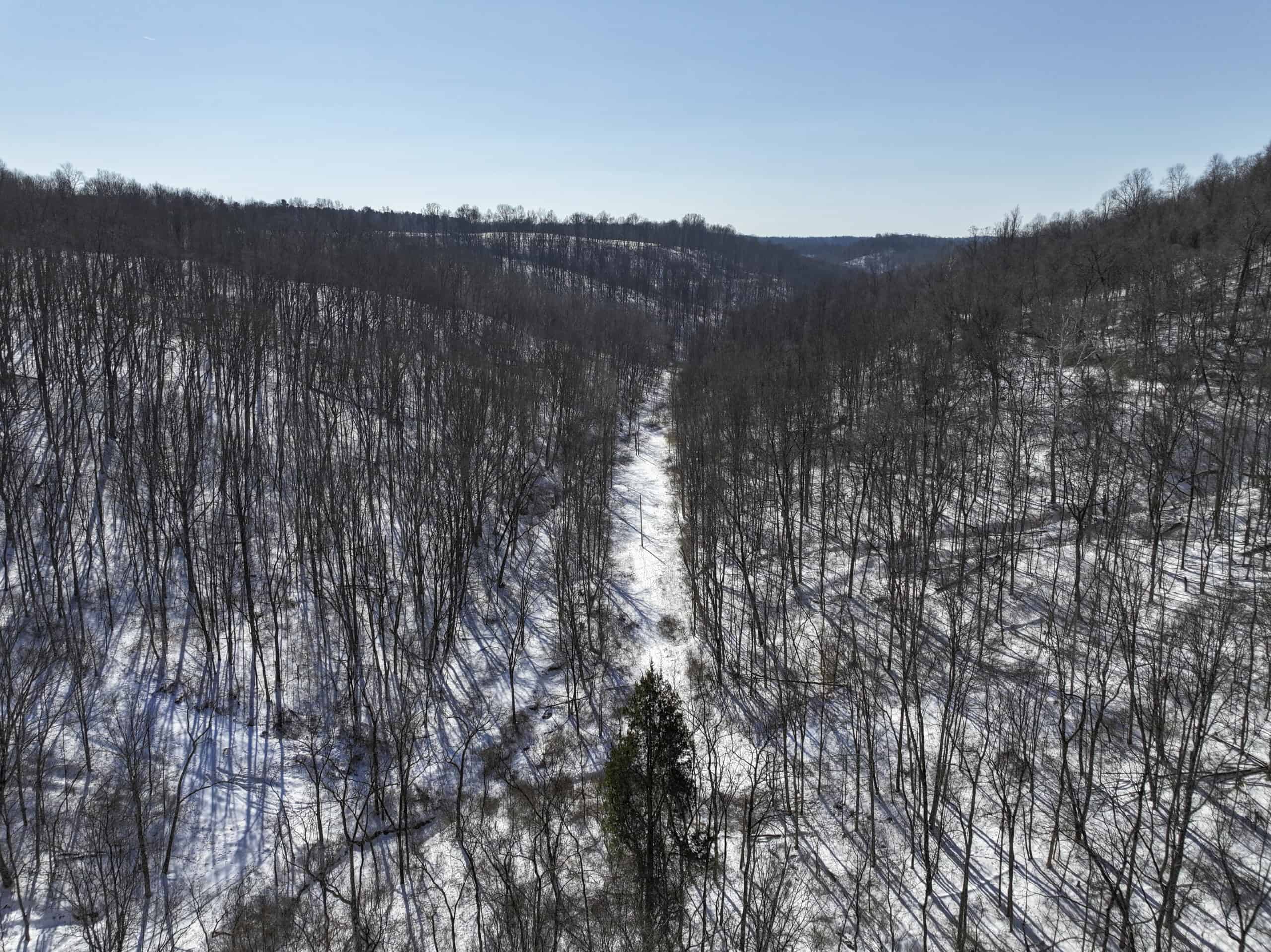 Tract 4 Prime Hunting & Recreational Land in Monroe County