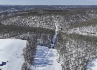 Tract 4 Prime Hunting & Recreational Land in Monroe County