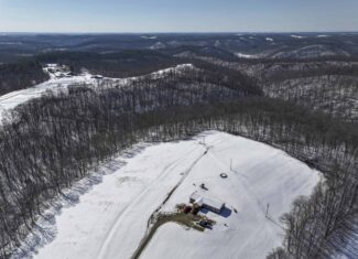 Tract 4 Prime Hunting & Recreational Land in Monroe County