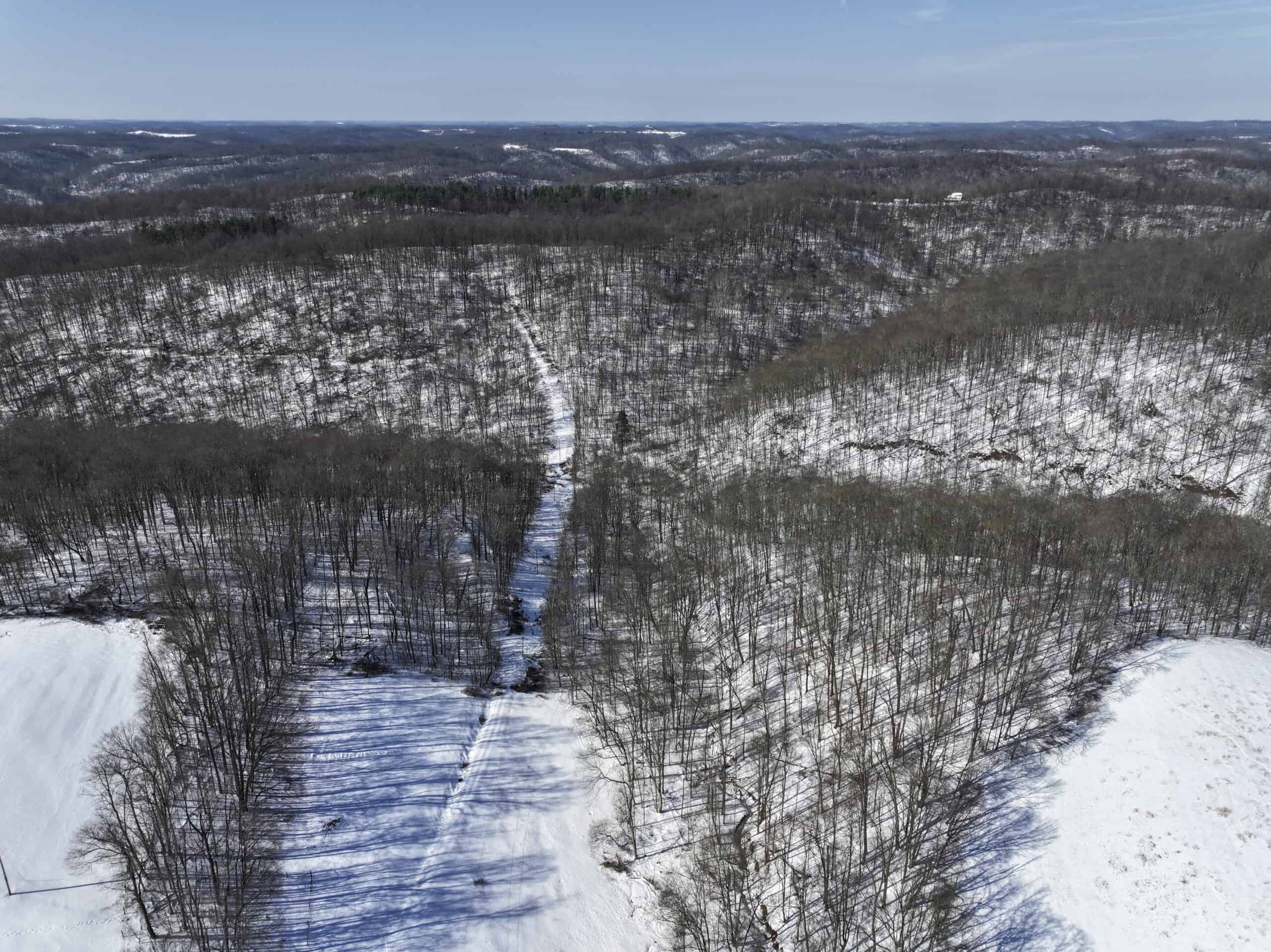 Tract 4 Prime Hunting & Recreational Land in Monroe County
