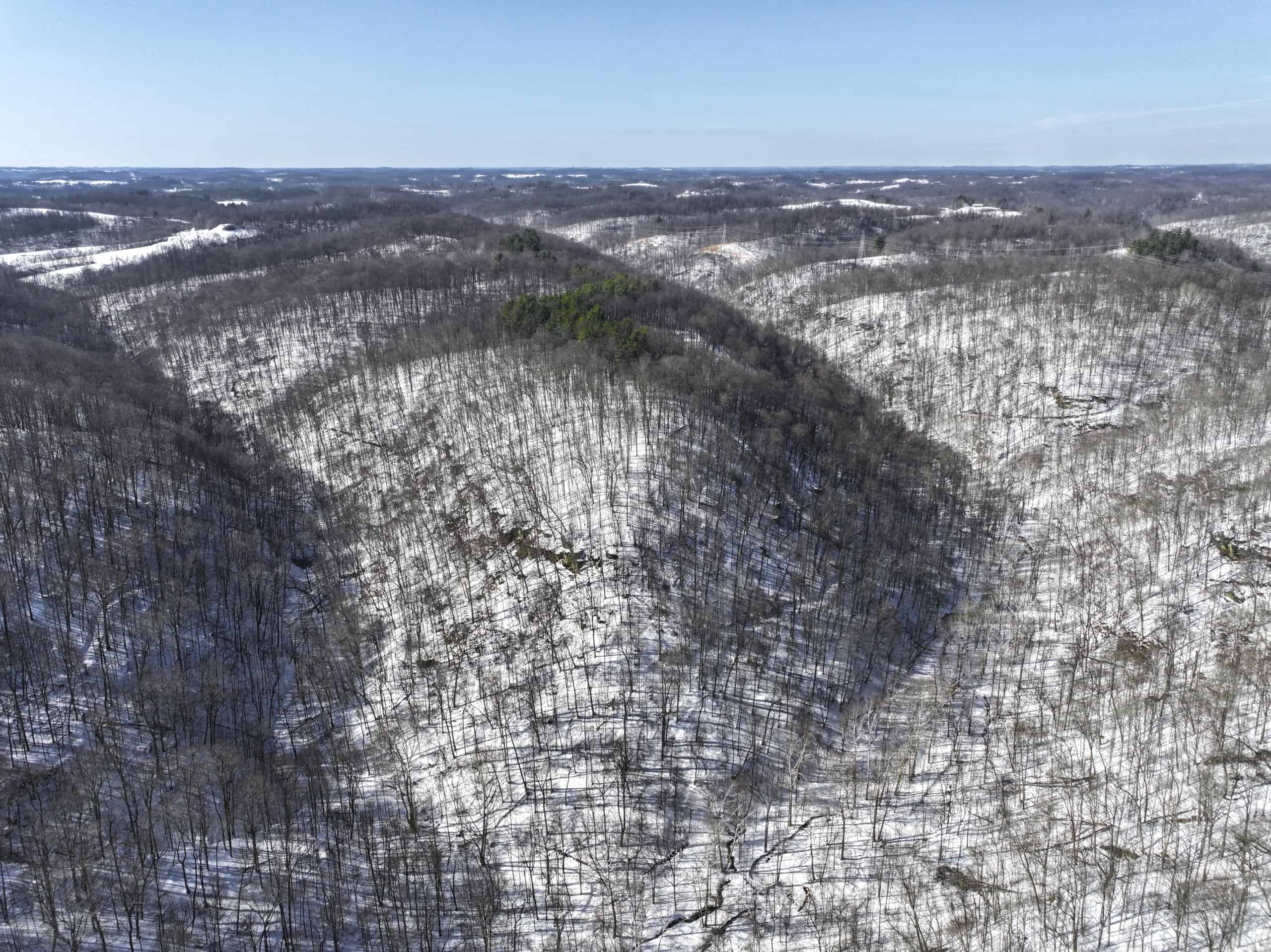Tract 5 160± Acres | Premier Hunting Land | Monroe County, Ohio
