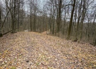 Tract 5 160± Acres | Premier Hunting Land | Monroe County, Ohio