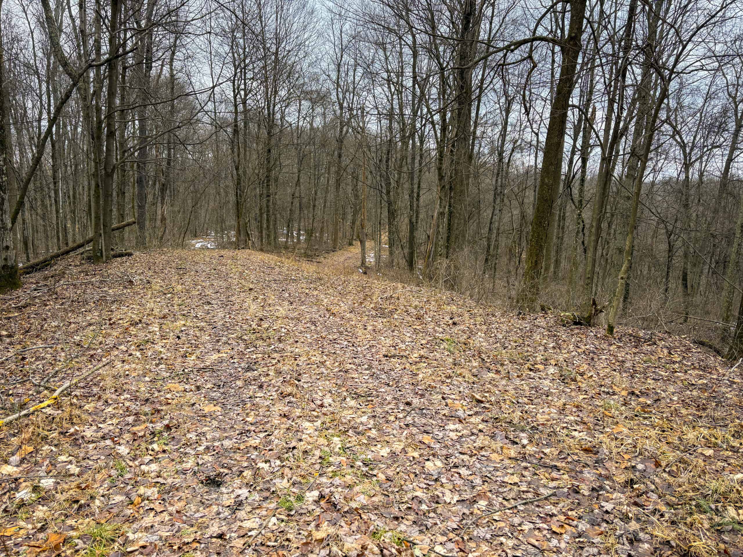 Tract 5 160± Acres | Premier Hunting Land | Monroe County, Ohio