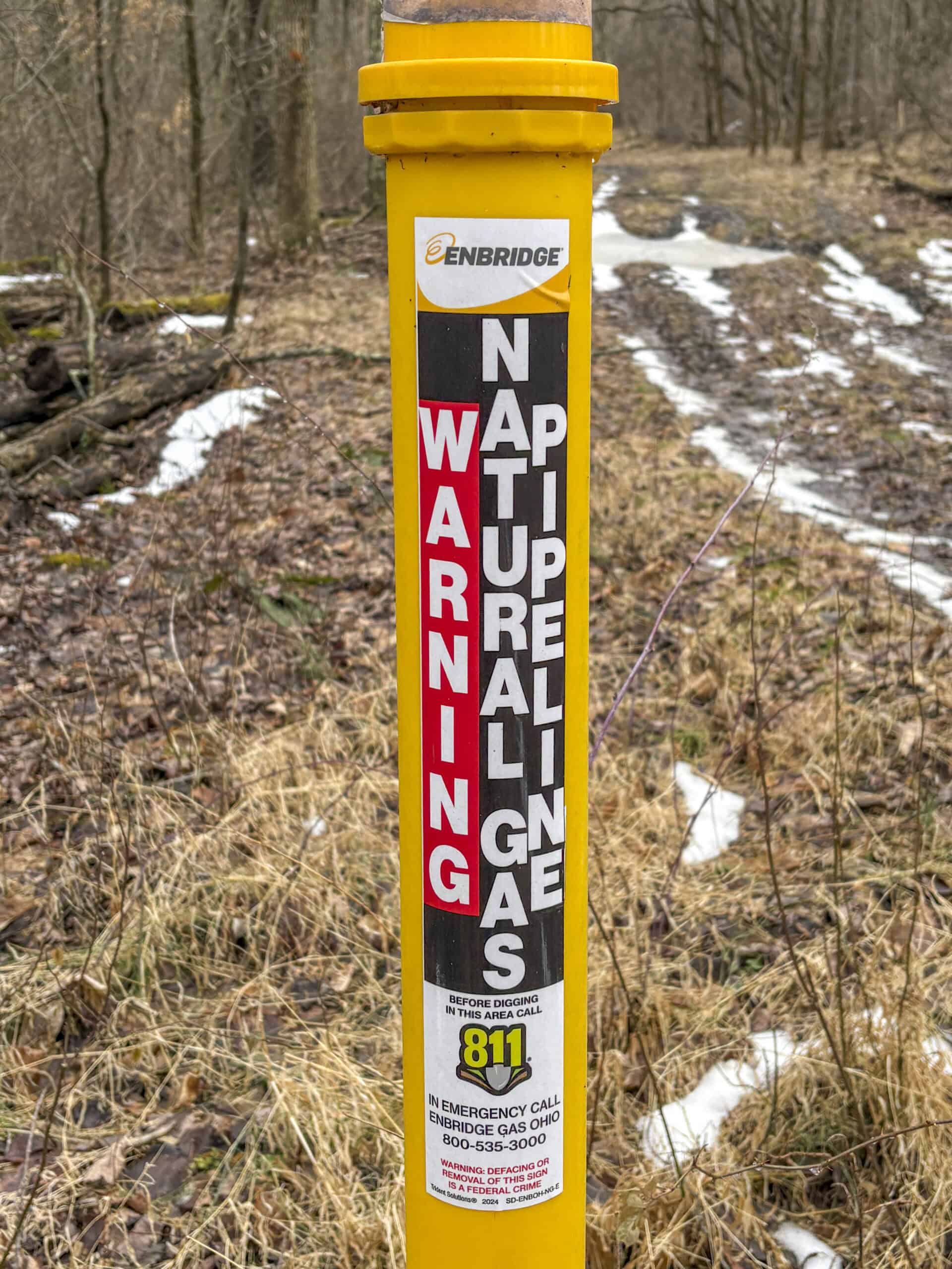 Tract 5 160± Acres | Premier Hunting Land | Monroe County, Ohio