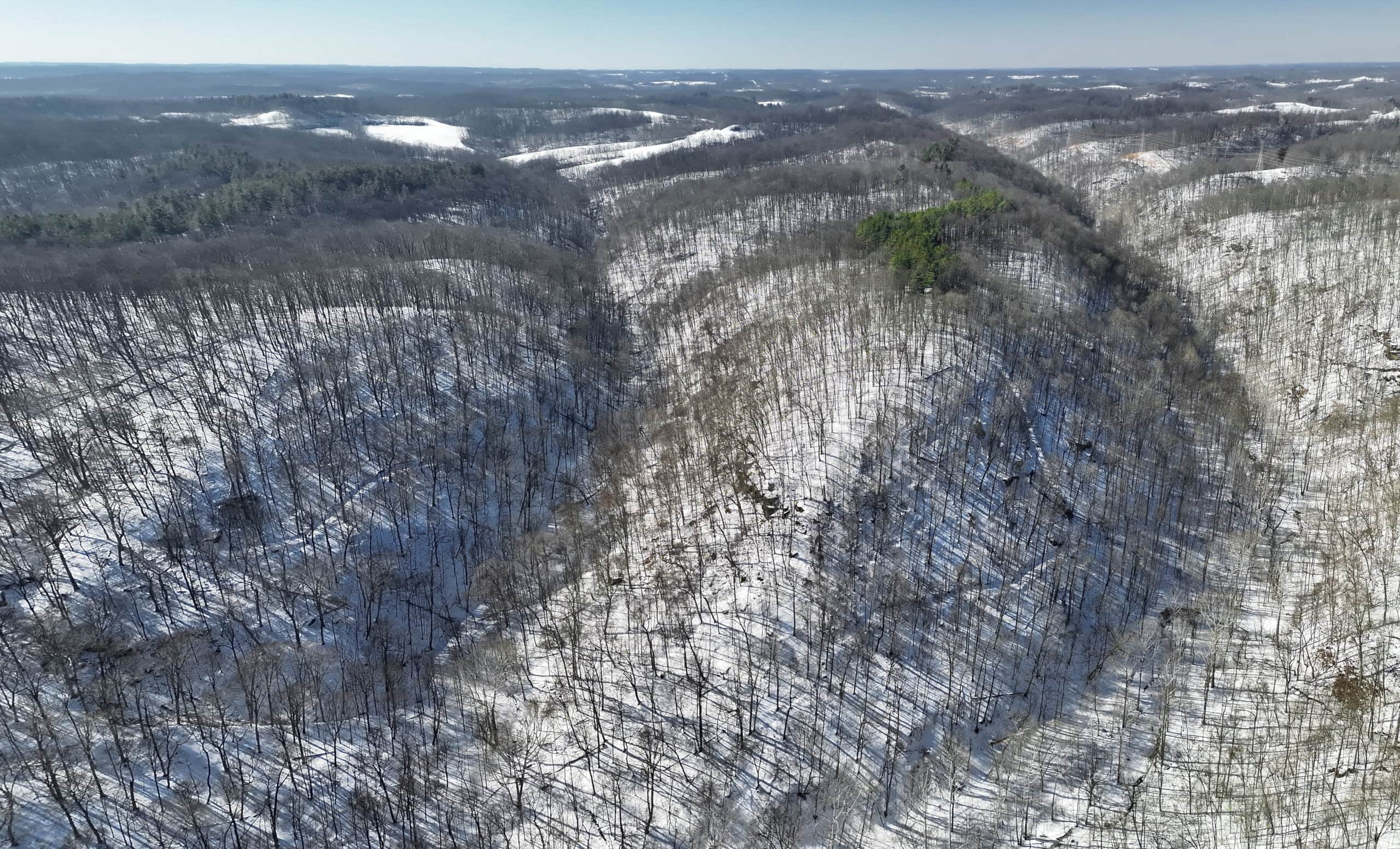 Tract 5 160± Acres | Premier Hunting Land | Monroe County, Ohio