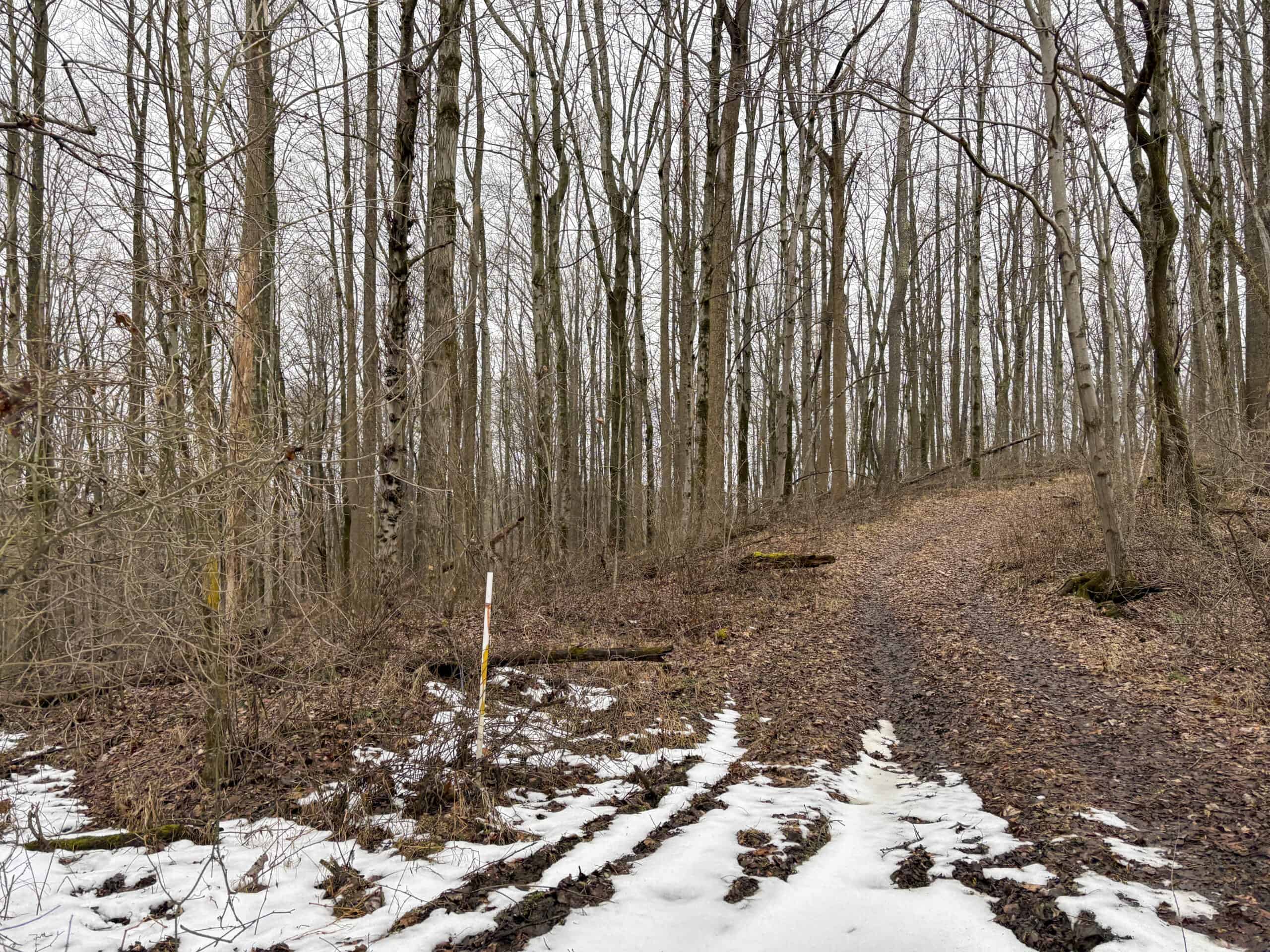 Tract 5 160± Acres | Premier Hunting Land | Monroe County, Ohio