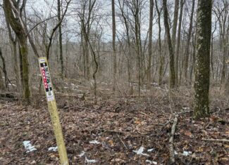 Tract 5 160± Acres | Premier Hunting Land | Monroe County, Ohio