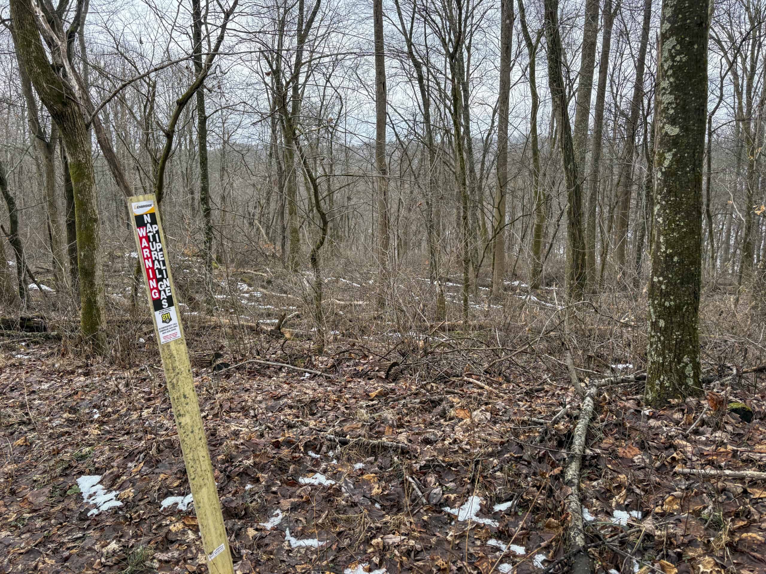 Tract 5 160± Acres | Premier Hunting Land | Monroe County, Ohio