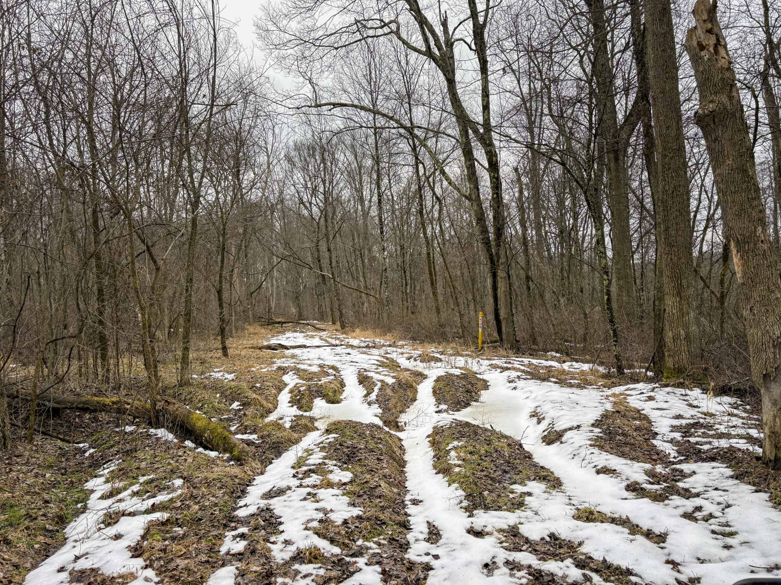 Tract 5 160± Acres | Premier Hunting Land | Monroe County, Ohio