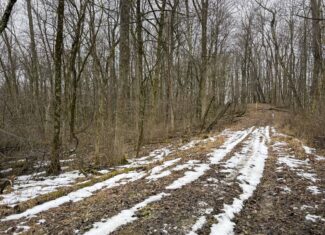 Tract 5 160± Acres | Premier Hunting Land | Monroe County, Ohio