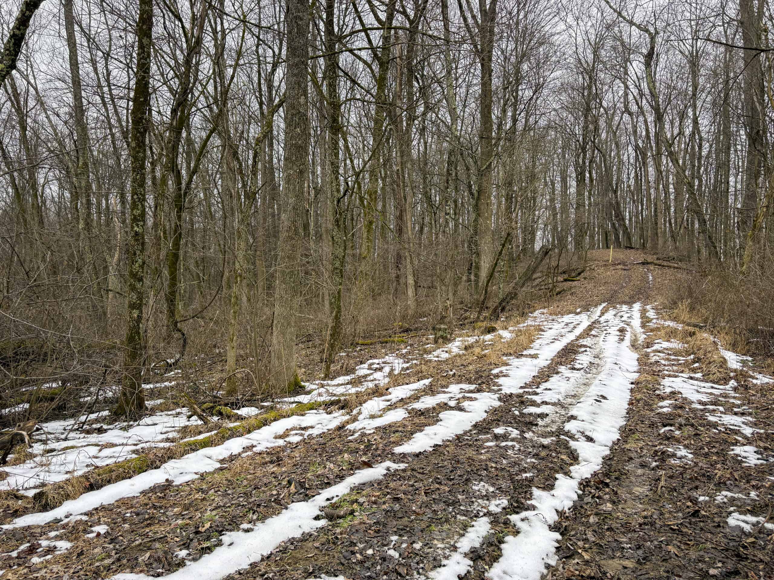 Tract 5 160± Acres | Premier Hunting Land | Monroe County, Ohio