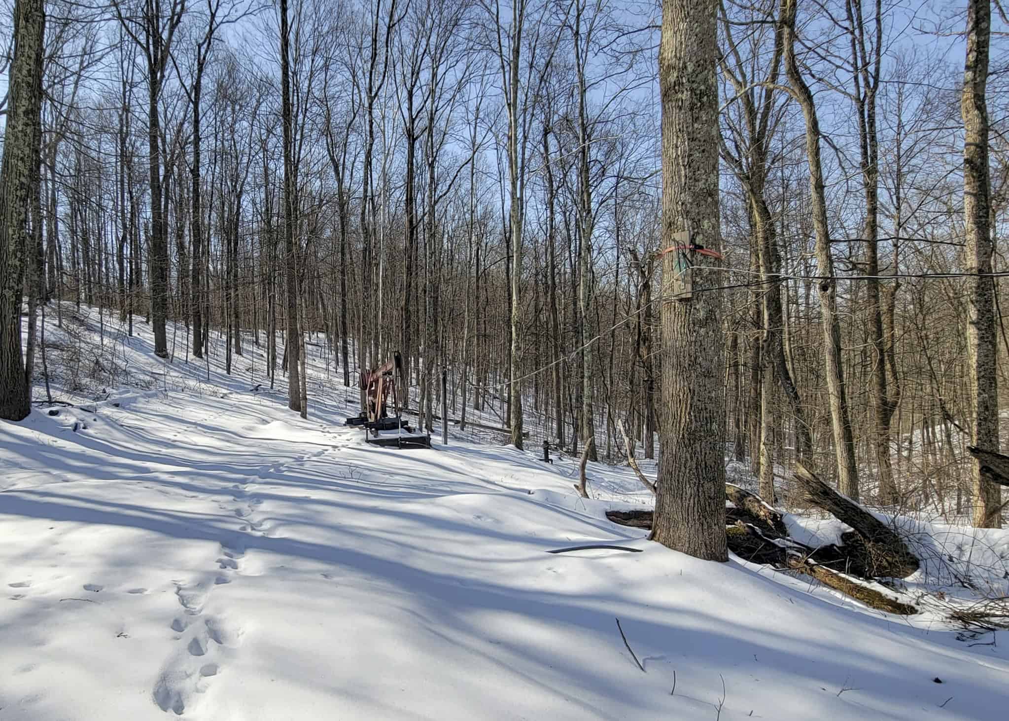 Tract 6 80± Acres | Bordering Wayne National Forest Monroe County
