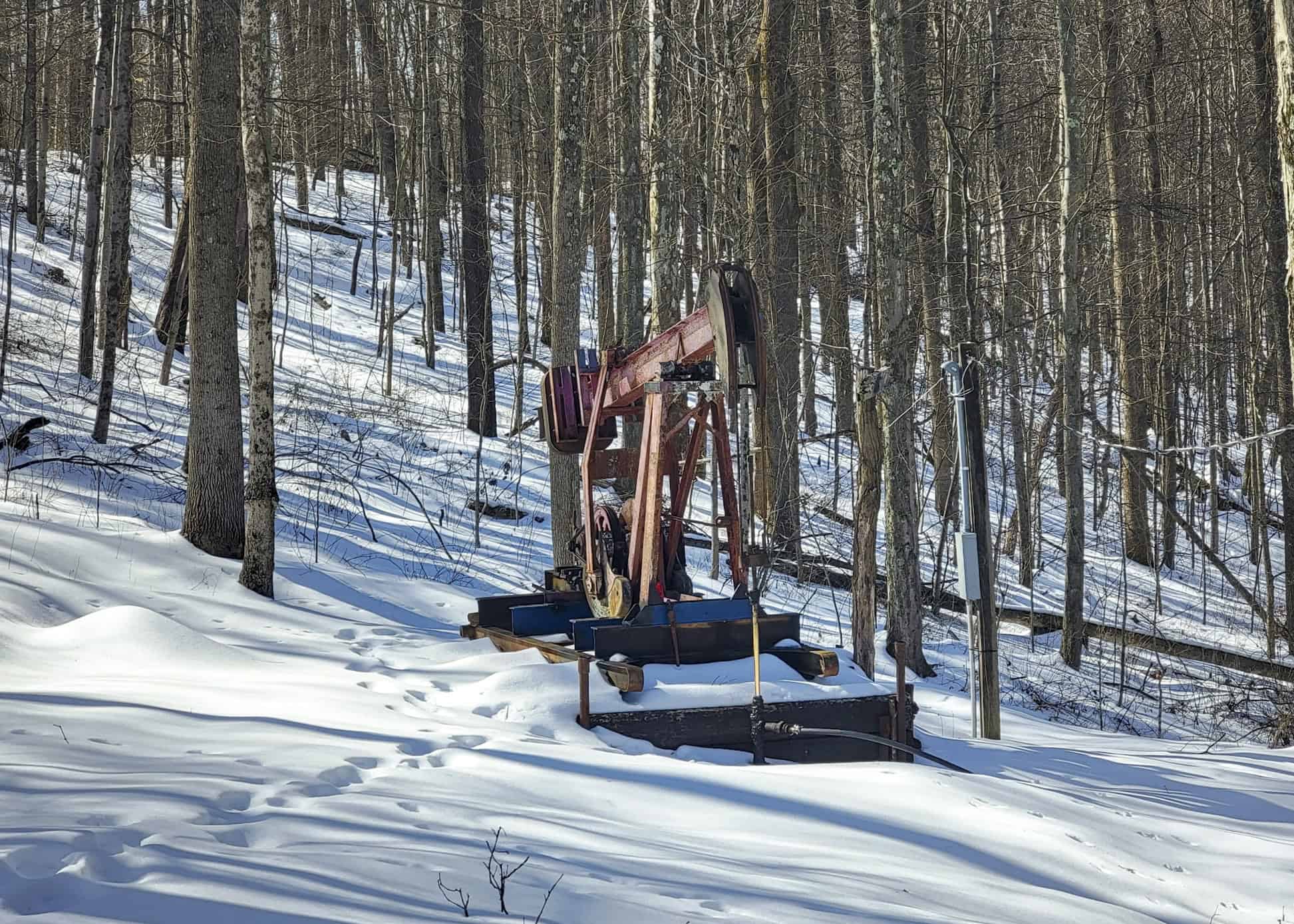 Tract 6 80± Acres | Bordering Wayne National Forest Monroe County