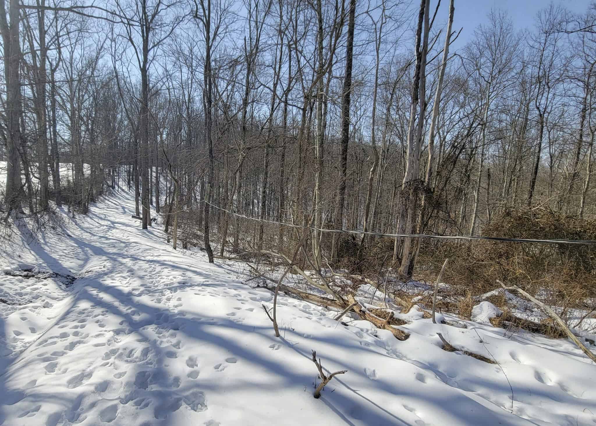 Tract 6 80± Acres | Bordering Wayne National Forest Monroe County