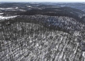 Tract 6 80± Acres | Bordering Wayne National Forest Monroe County