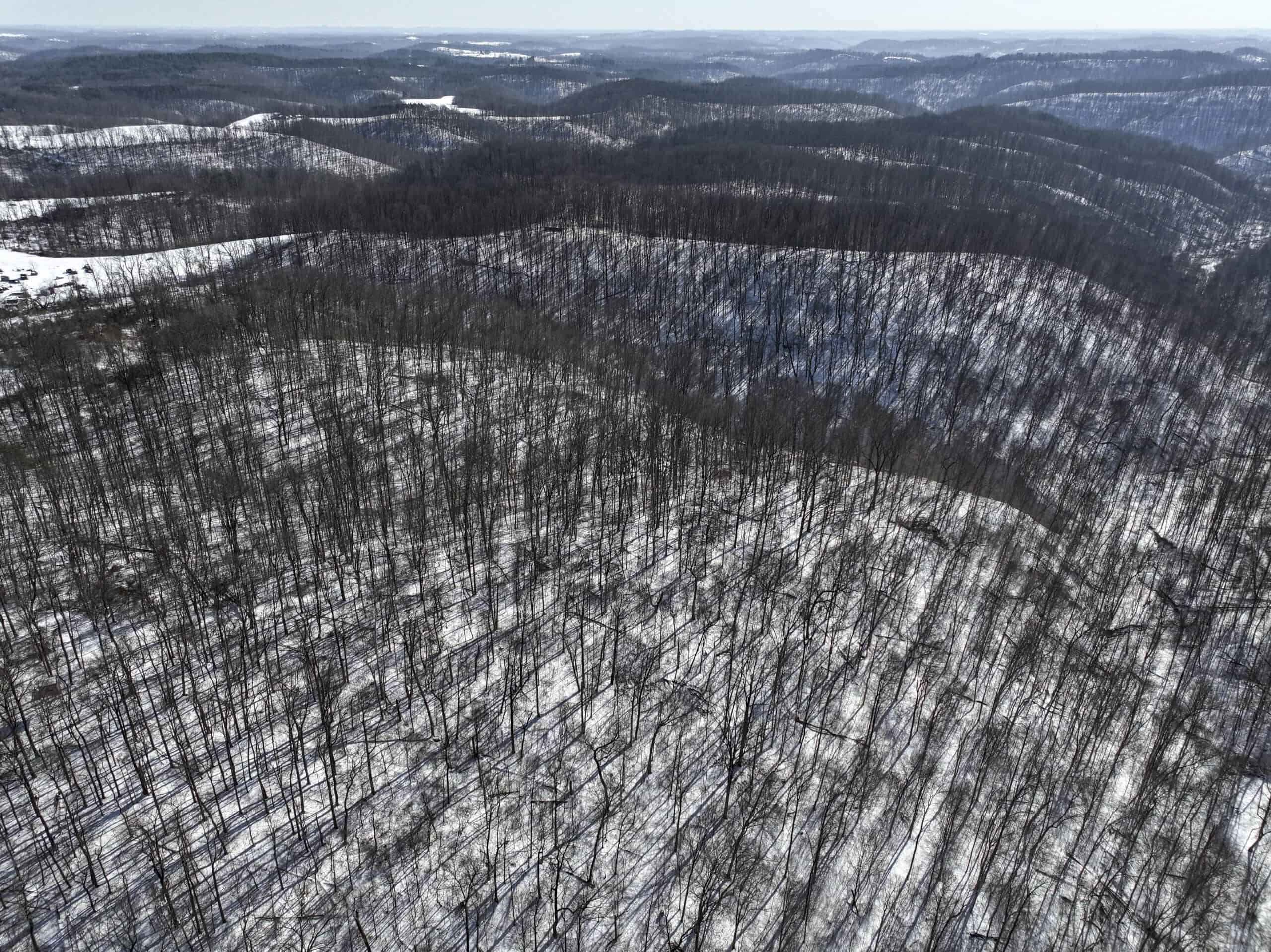 Tract 6 80± Acres | Bordering Wayne National Forest Monroe County