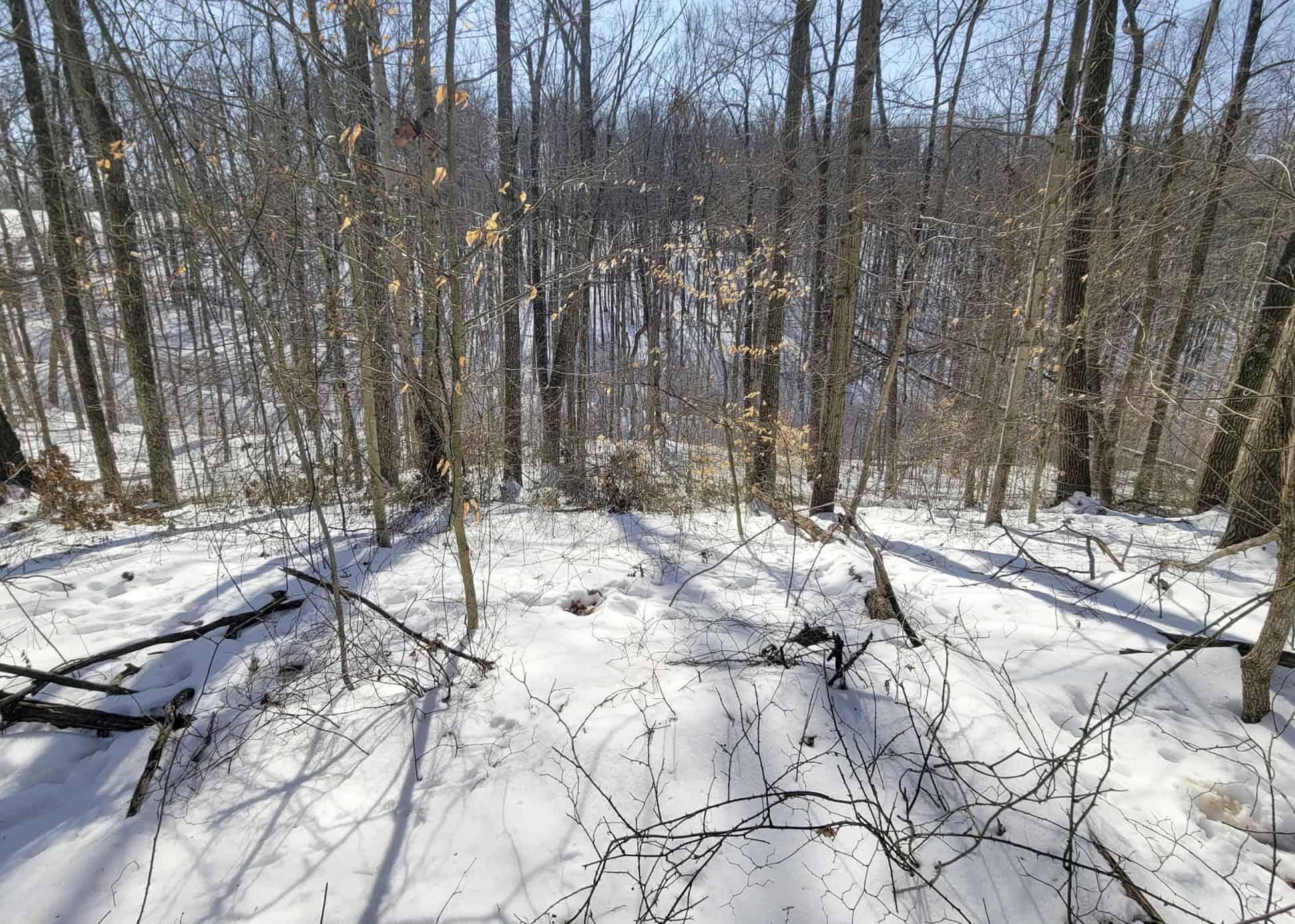 Tract 6 80± Acres | Bordering Wayne National Forest Monroe County