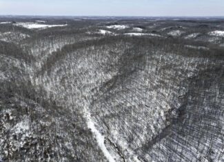 Tract 6 80± Acres | Bordering Wayne National Forest Monroe County