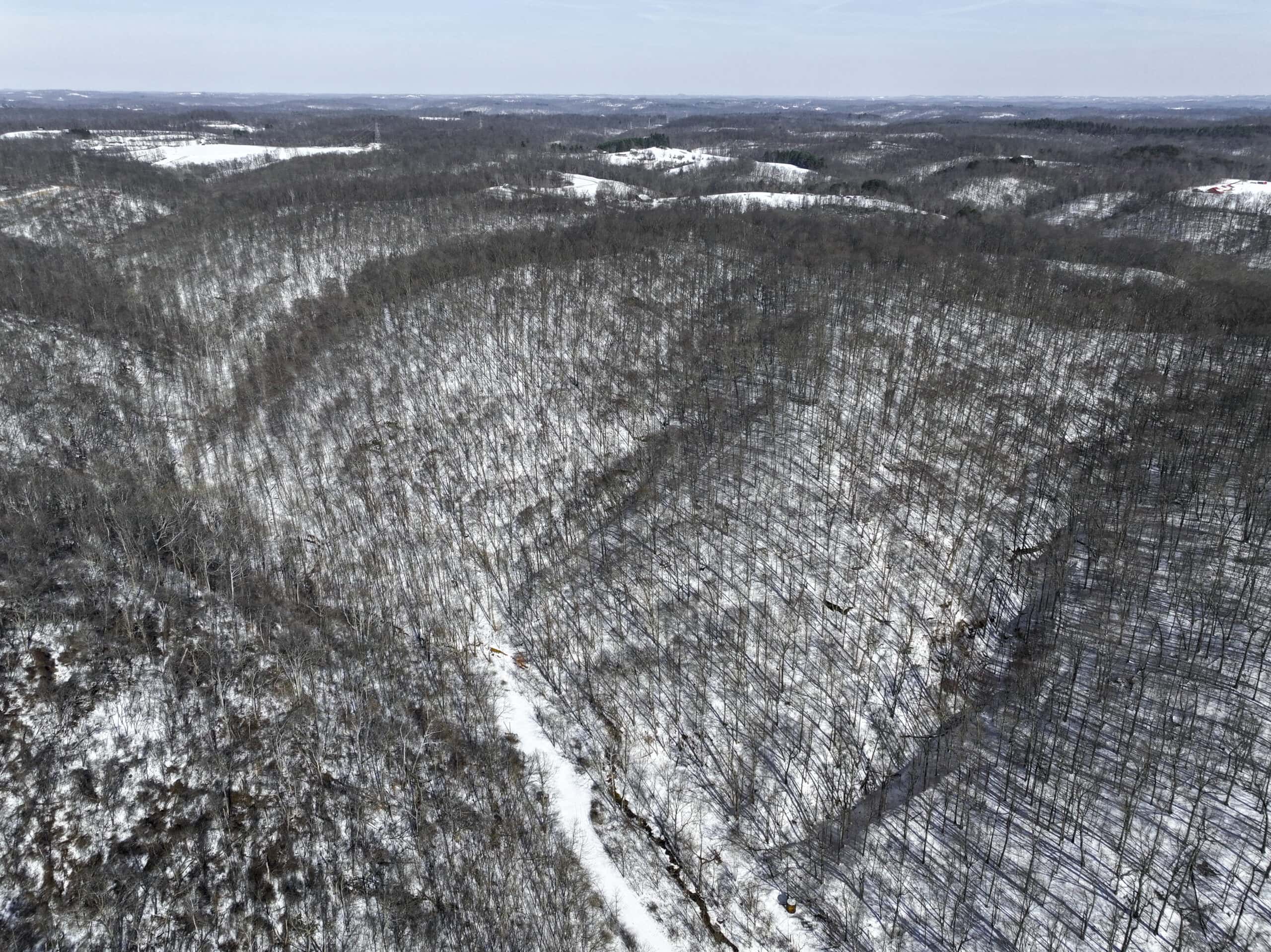 Tract 6 80± Acres | Bordering Wayne National Forest Monroe County