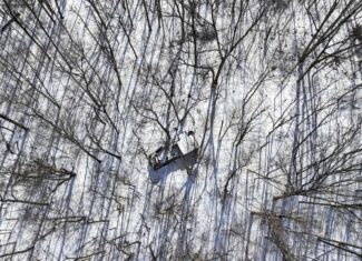 Tract 6 80± Acres | Bordering Wayne National Forest Monroe County